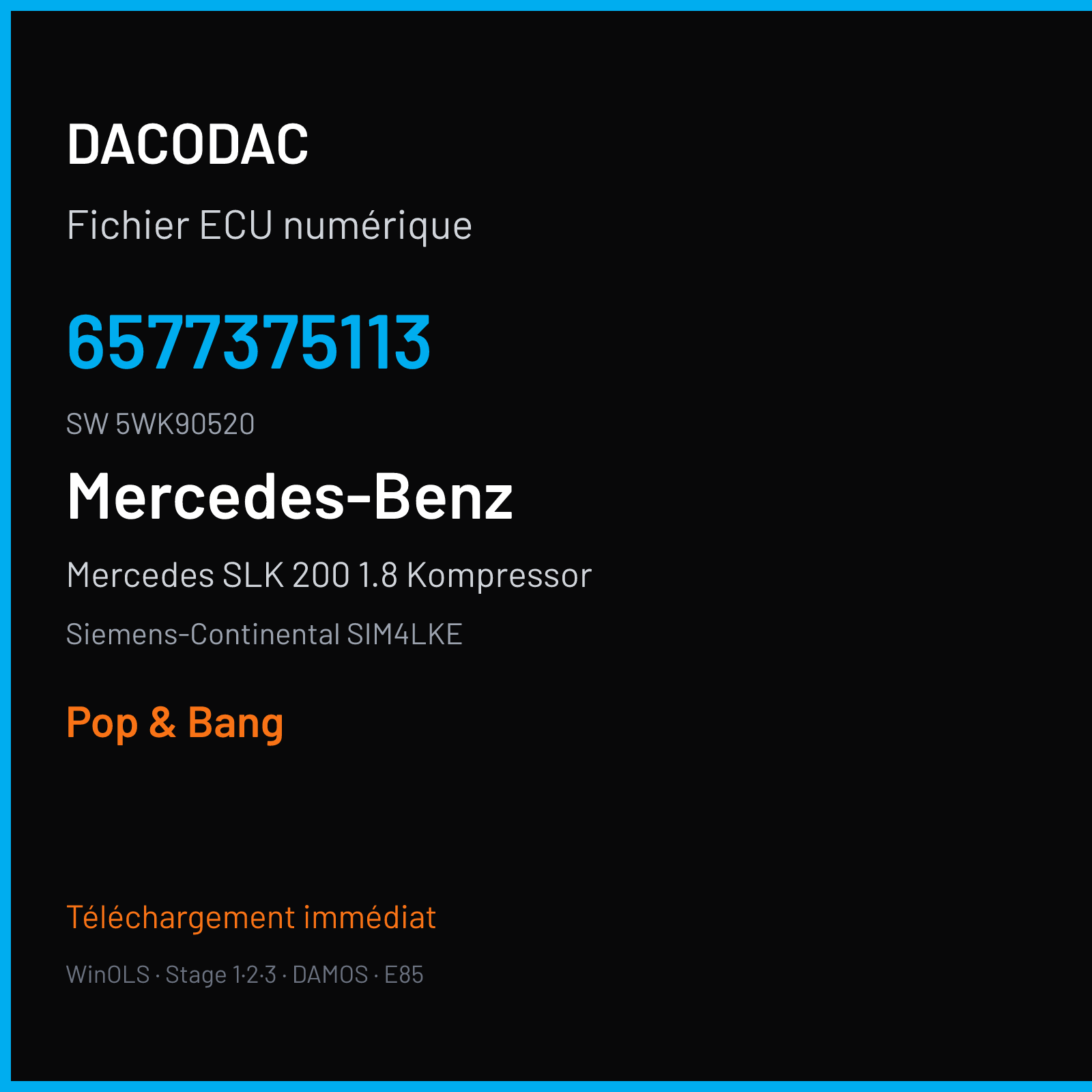 Mercedes SLK 200 1.8 Kompressor 163 ch (2007) — Siemens-Continental SIM4LKE — 6577375113 · 5WK90520 · M300045010000 — Pop & Bang