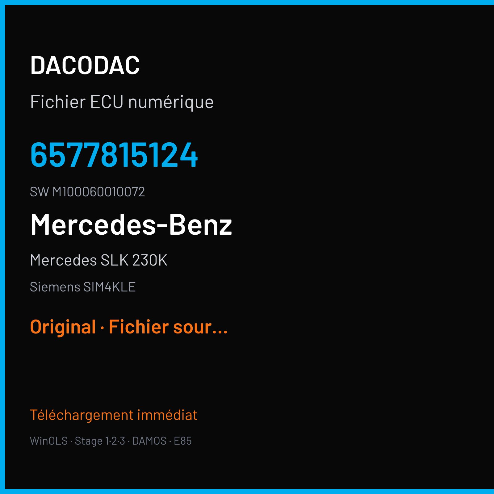 Mercedes SLK 230K (2001) — Siemens SIM4KLE — 6577815124 · M100060010072 — Original