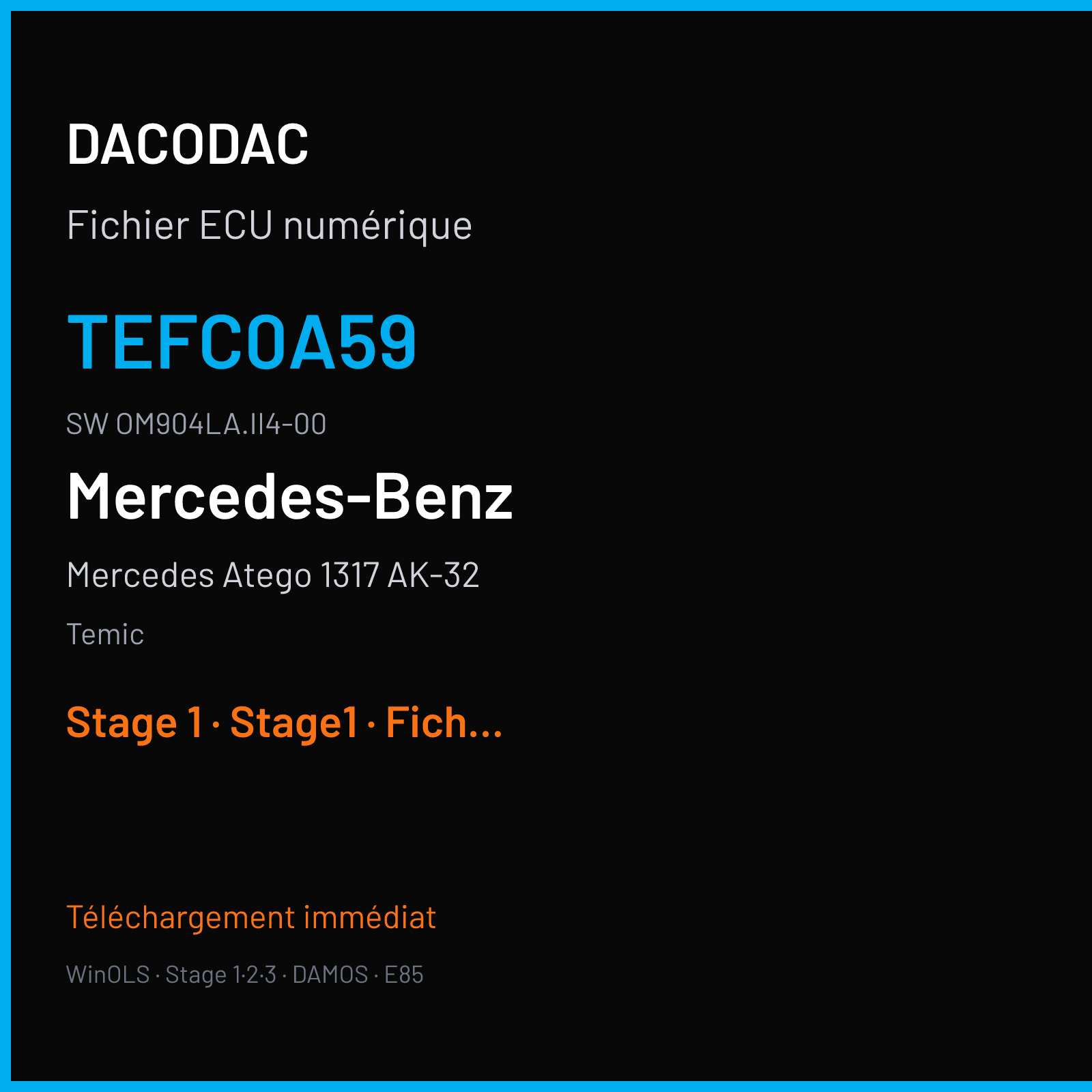 Mercedes Atego 1317 AK-32 170 ch (2001) — Temic — TEFC0A59 · OM904LA.II4-00 · A 040 446 28 40 ZGS 001 — Stage 1