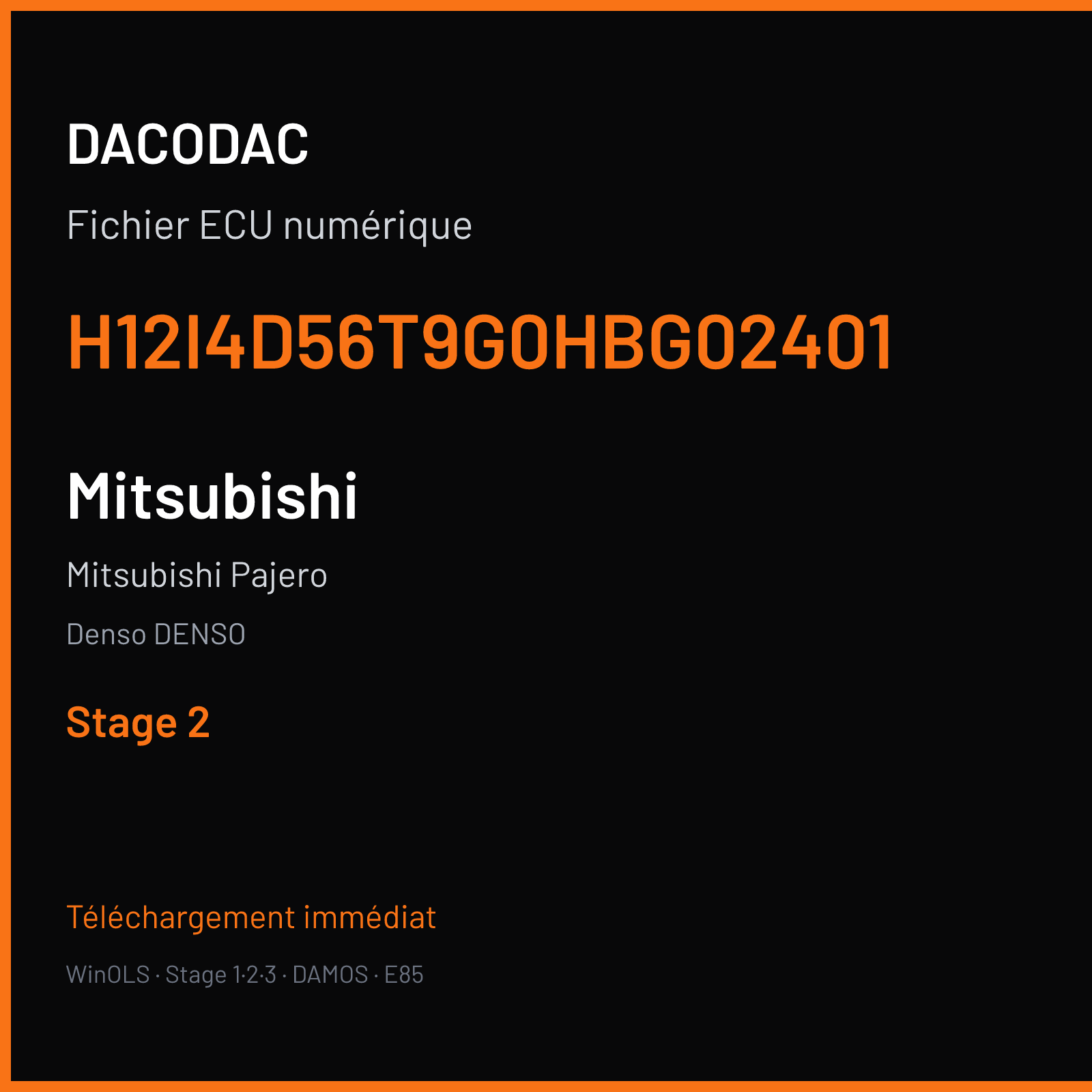 Mitsubishi Pajero (2008) — Denso DENSO — H12I4D56T9G0HBG02401 — Stage 2