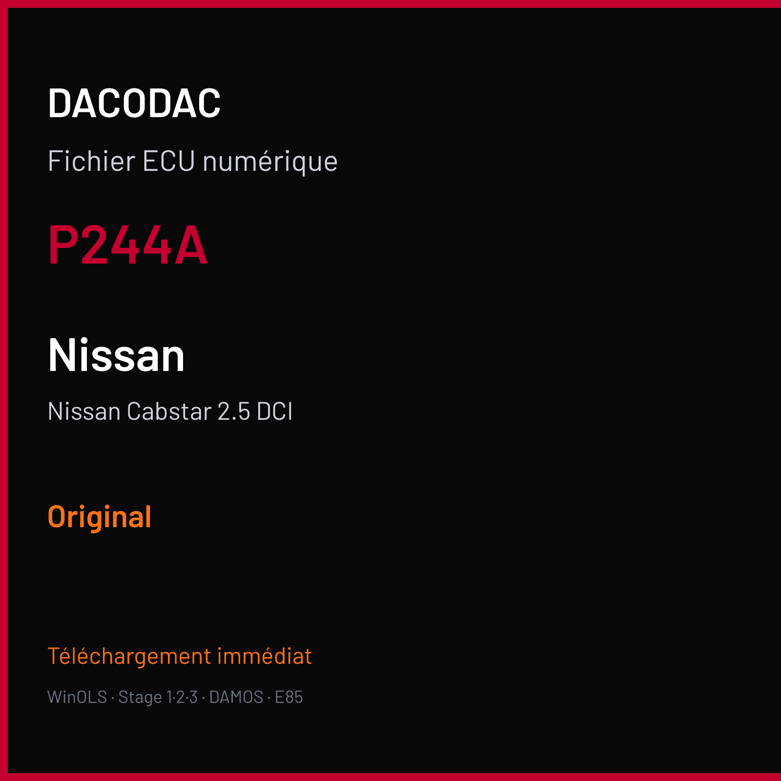 Nissan Cabstar 2.5 DCI (2012) — P244A — Original