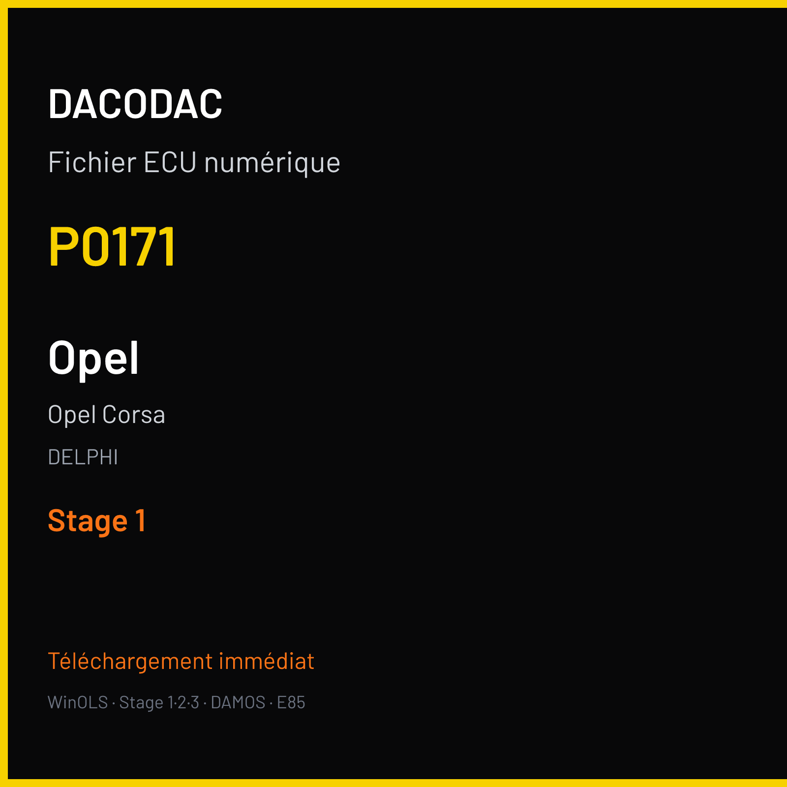 Opel Corsa — DELPHI — P0171 — Stage 1