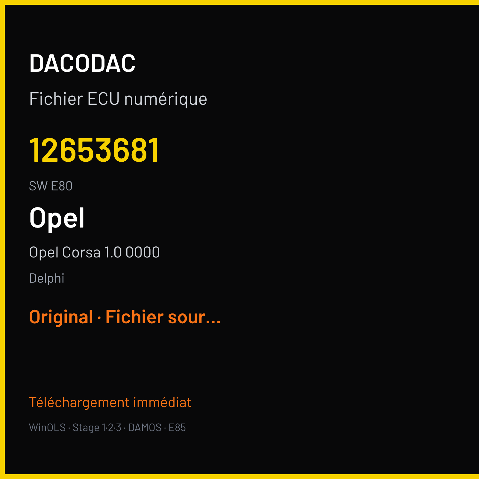 Opel Corsa 1.0 0000 — Delphi — 12653681 · E80 — Original