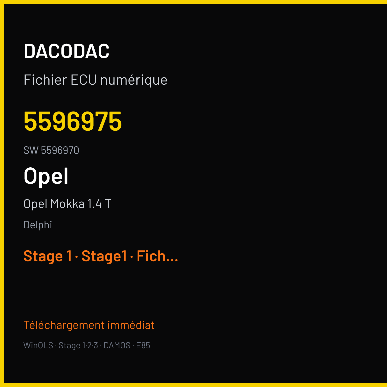 Opel Mokka 1.4 T 140 ch (2014) — Delphi — 5596975 · 5596970 · 5596960 E78 — Stage 1