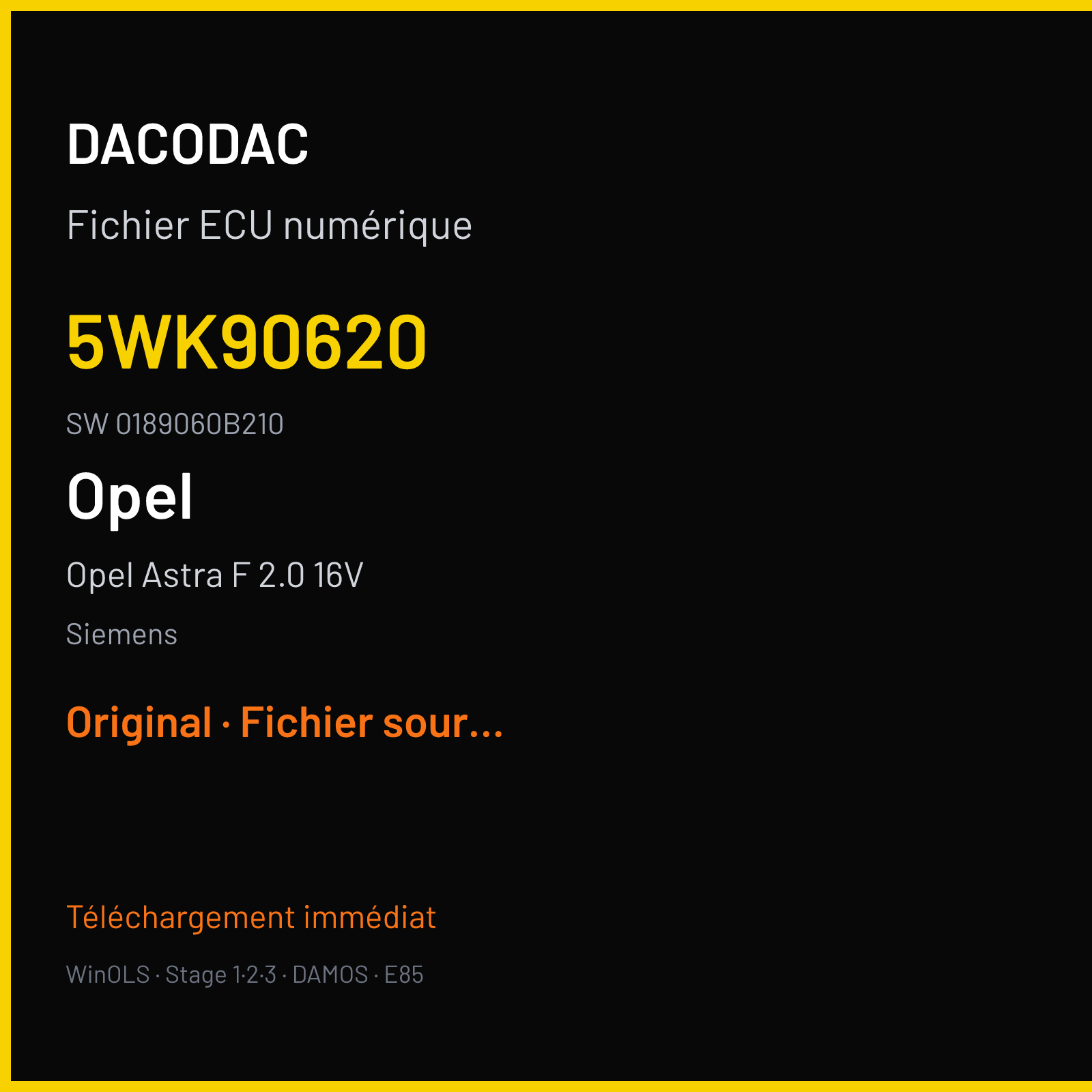 Opel Astra F 2.0 16V 136 ch (2004) — Siemens — 5WK90620 · 0189060B210 · EC17 — Original