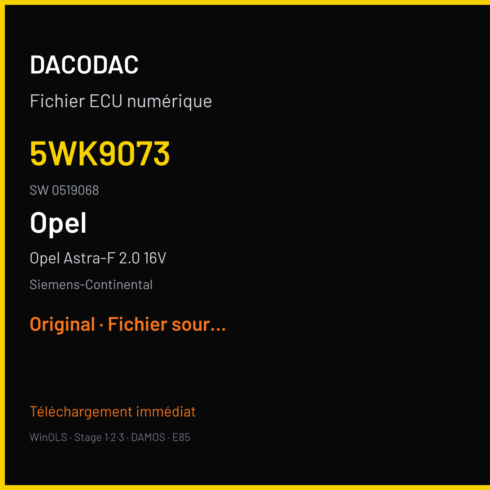 Opel Astra-F 2.0 16V (1996) — Siemens-Continental — 5WK9073 · 0519068 — Original