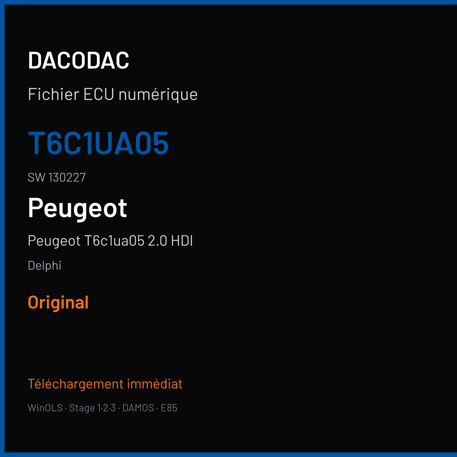 Peugeot T6c1ua05 2.0 HDI — Delphi — T6C1UA05 · 130227 — Original