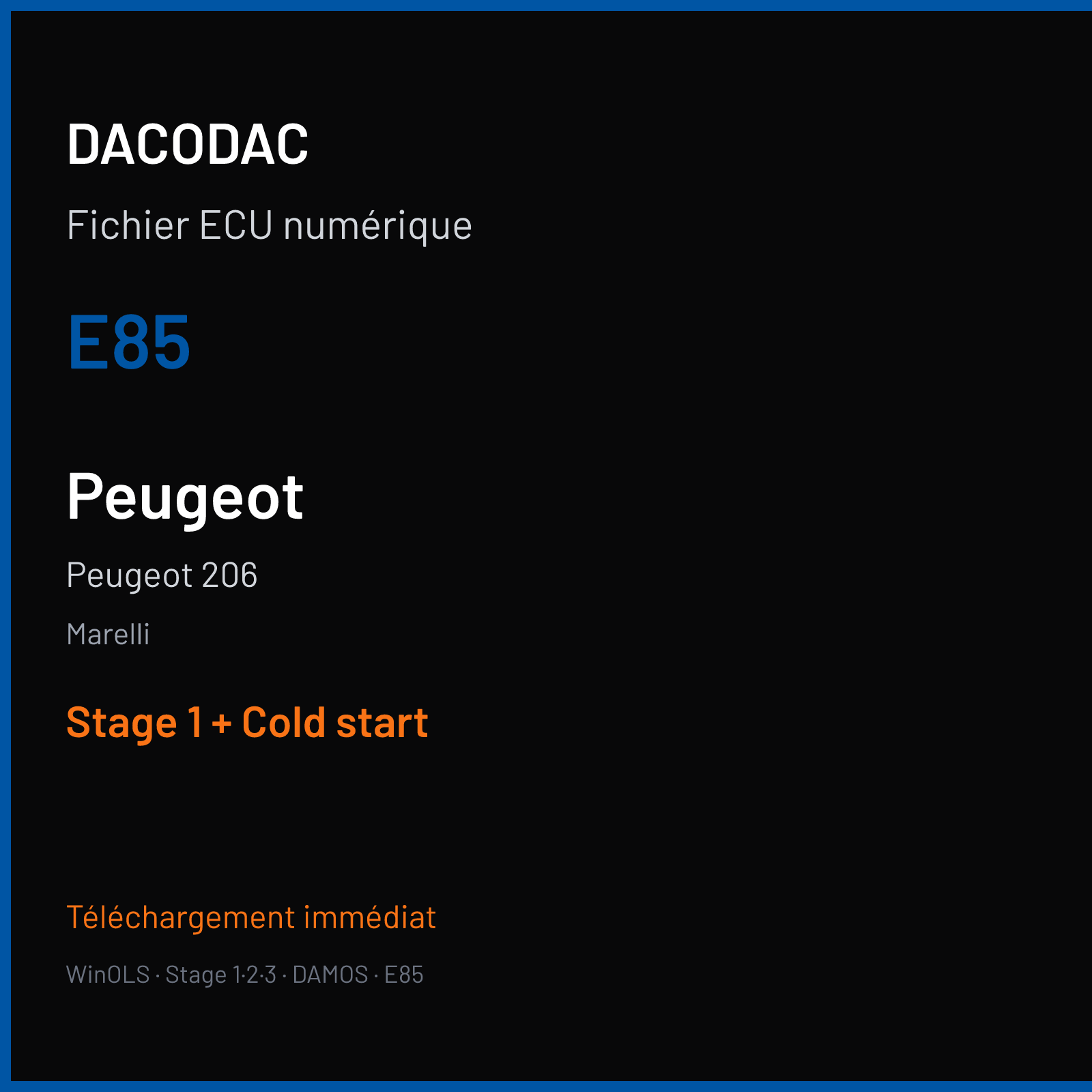 Peugeot 206 — Marelli — E85 — Stage 1 + Cold start