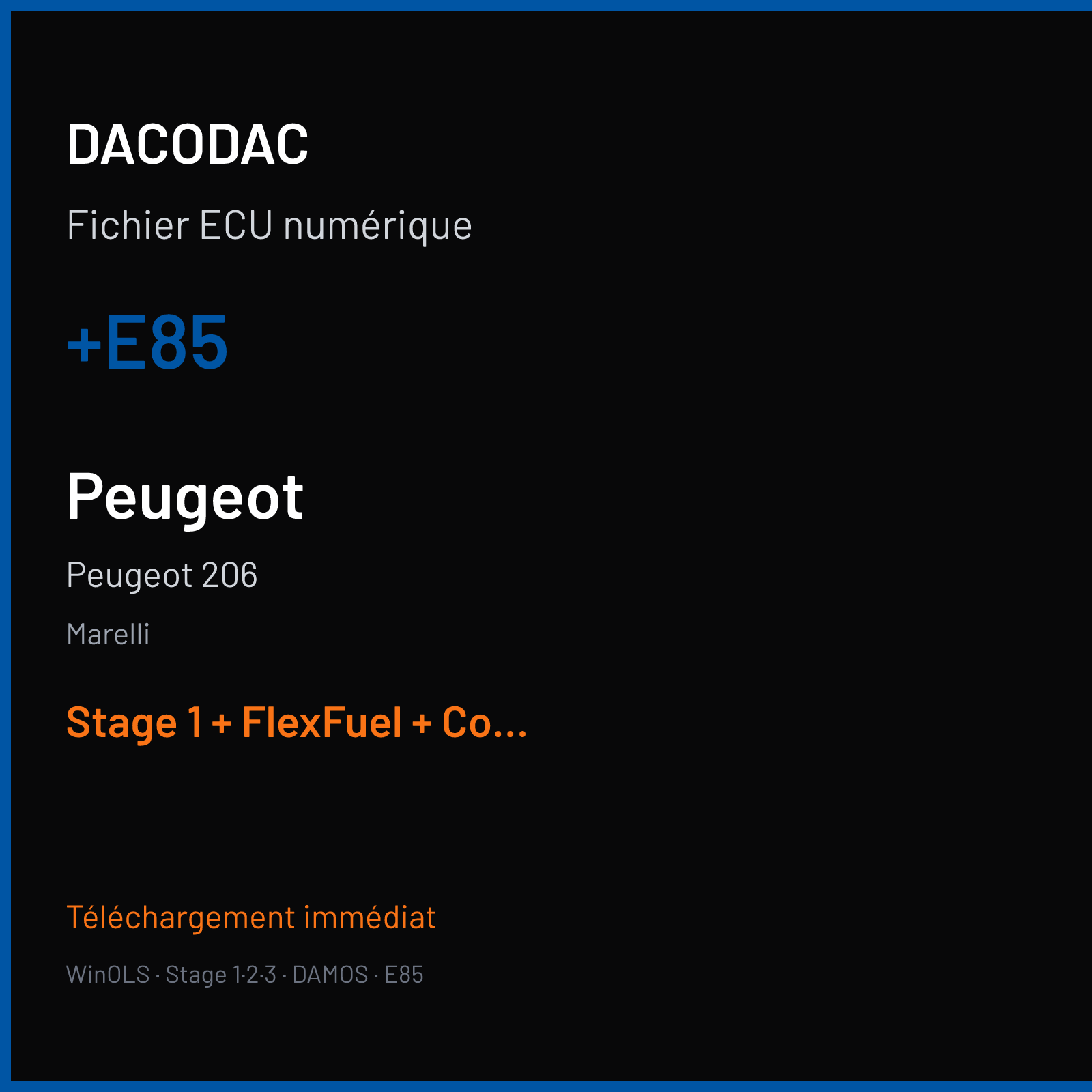 Peugeot 206 — Marelli — +E85 — Stage 1 + FlexFuel + Cold start