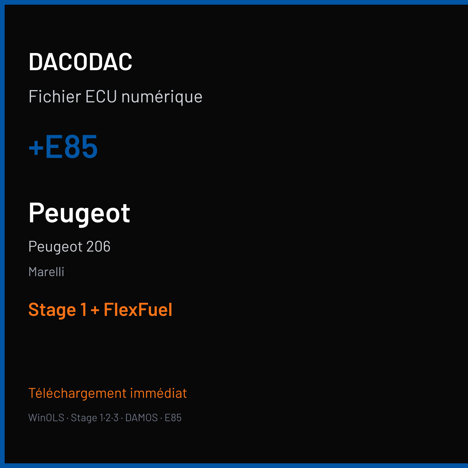 Peugeot 206 — Marelli — +E85 — Stage 1 + FlexFuel