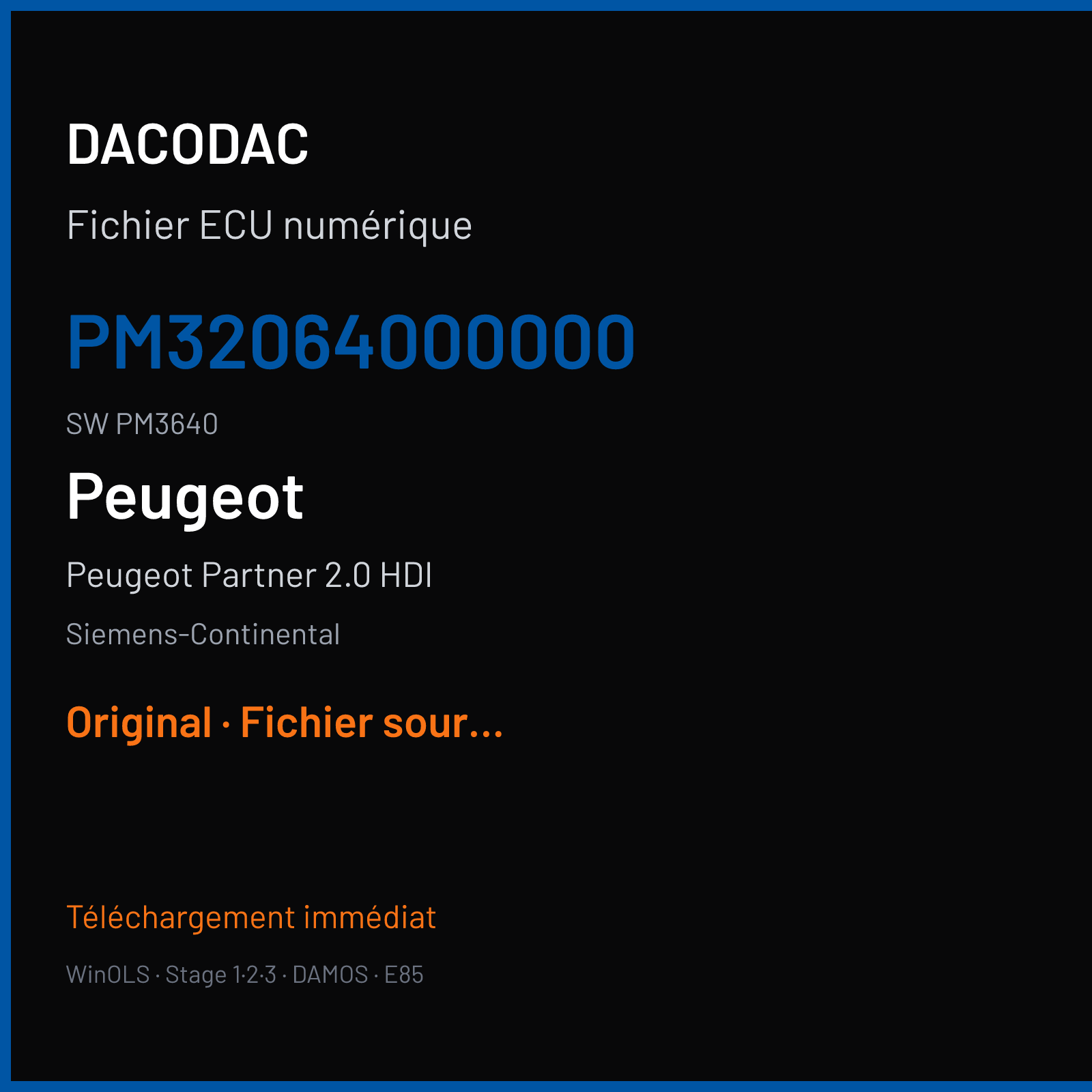 Peugeot Partner 2.0 HDI (2003) — Siemens-Continental — PM32064000000 · PM3640 — Original