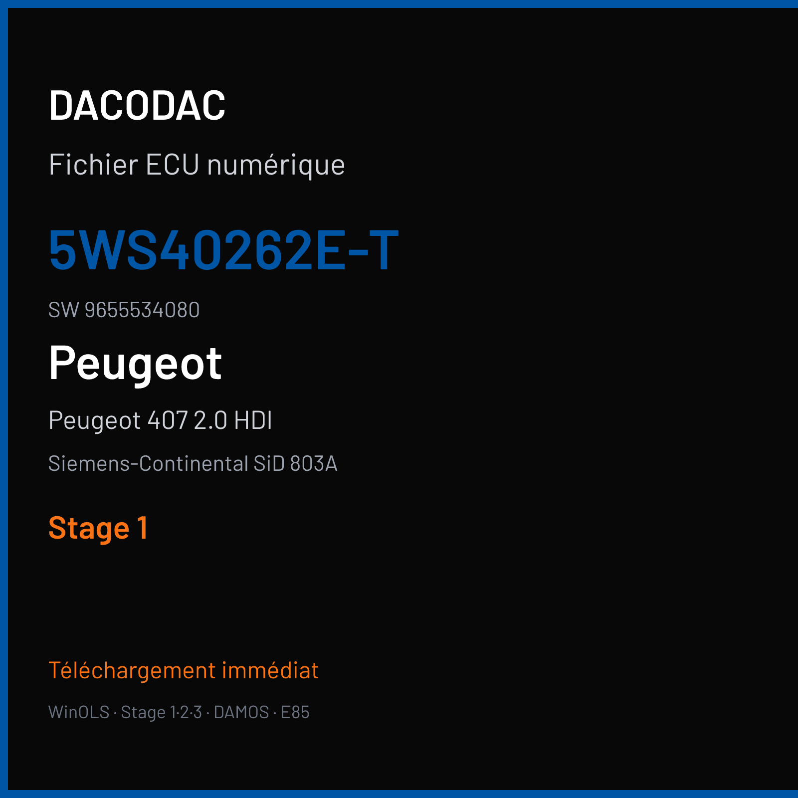 Peugeot 407 2.0 HDI 136 ch (2006) — Siemens-Continental SiD 803A — 5WS40262E-T · 9655534080 · PO20034000000 — Stage 1