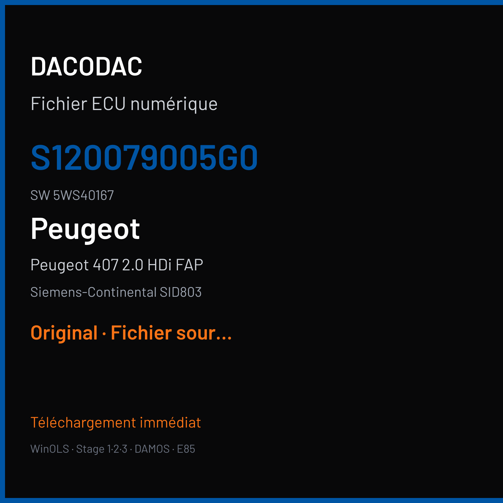 Peugeot 407 2.0 HDi FAP 136 ch (2005) — Siemens-Continental SID803 — S120079005G0 · 5WS40167 · G-T PO000AA000000 — Original