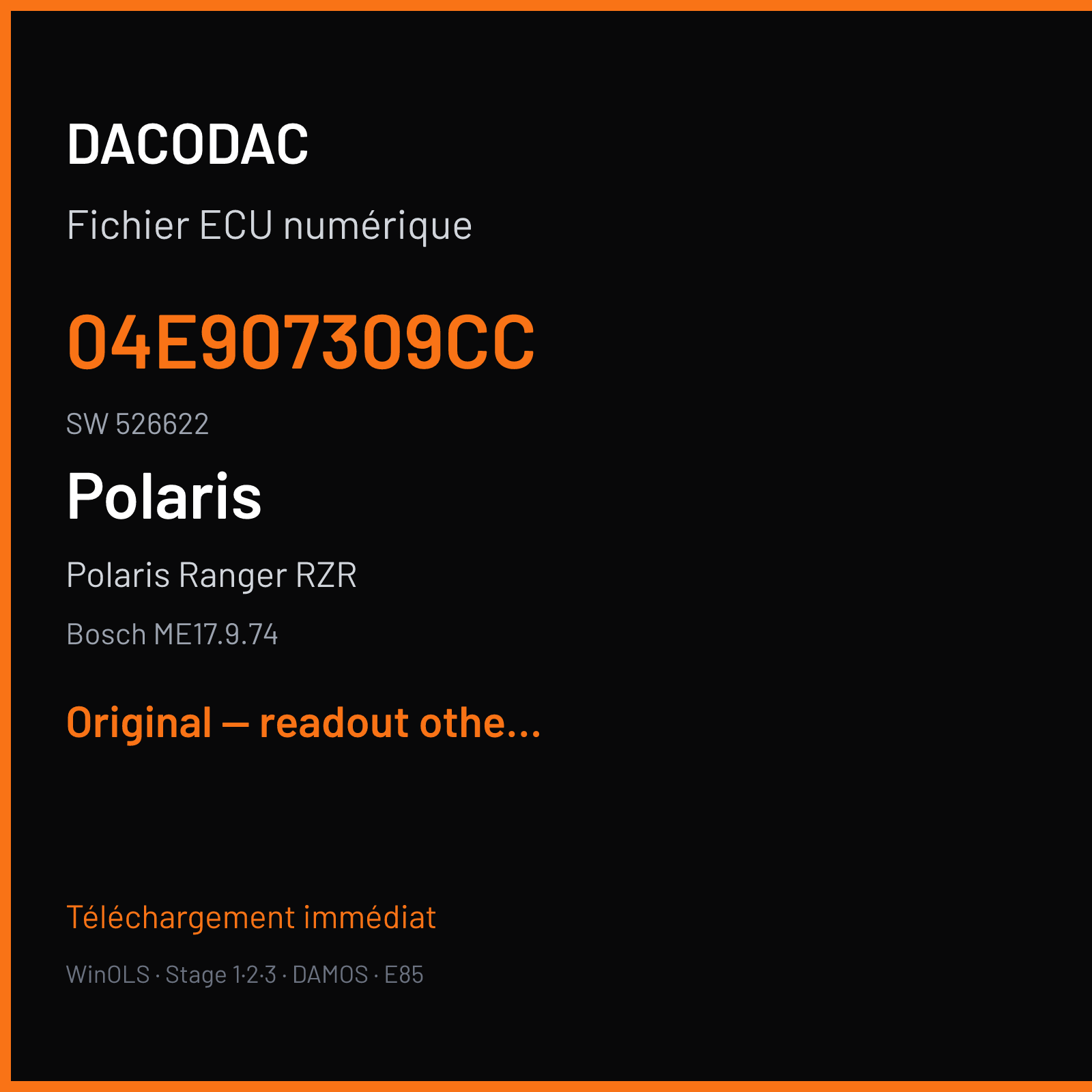 Polaris Ranger RZR (2018) — Bosch ME17.9.74 — 04E907309CC · 526622 — Original — readout other tuner