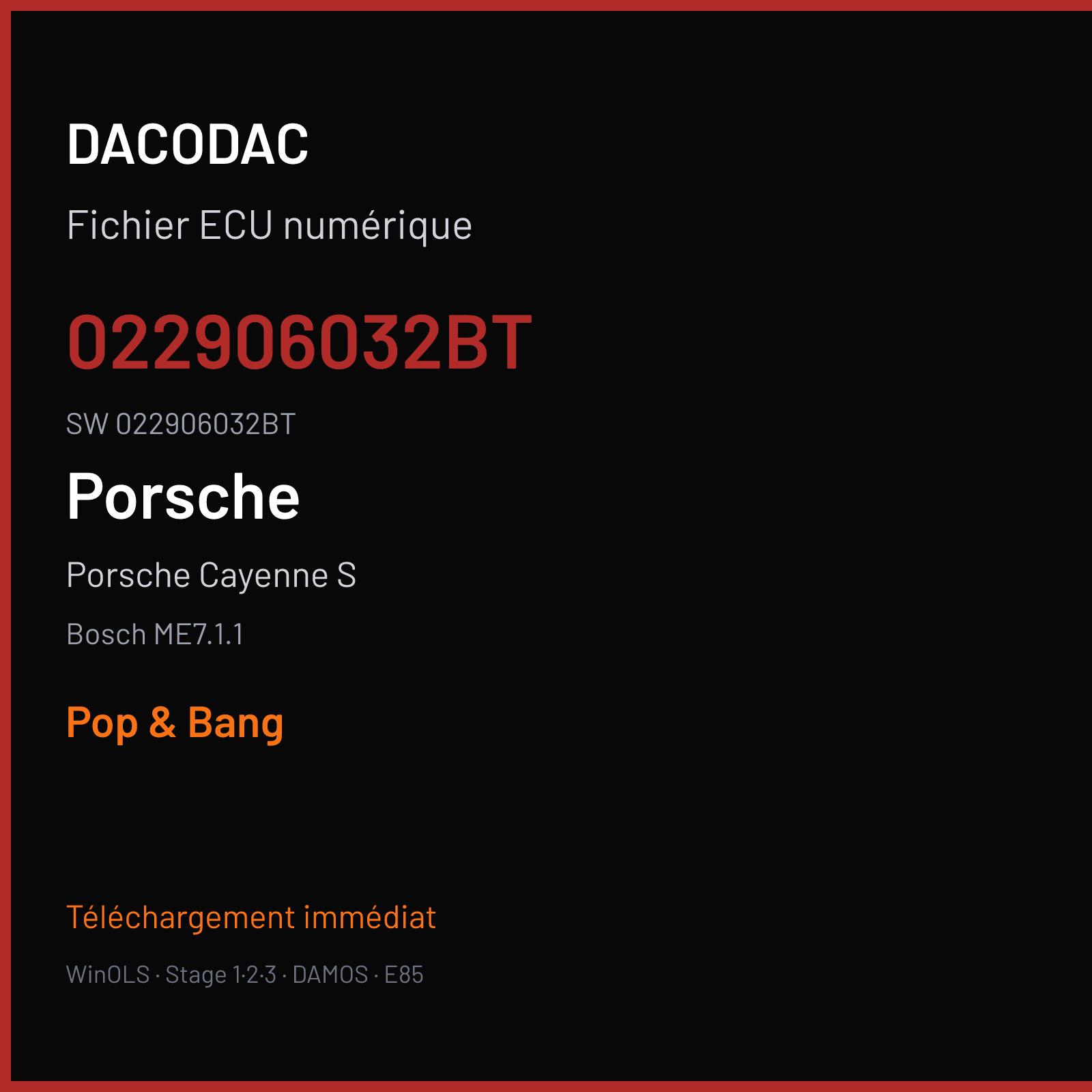 Porsche Cayenne S 340 ch (2005) — Bosch ME7.1.1 — 022906032BT · 022906032BT · 382133 — Pop & Bang