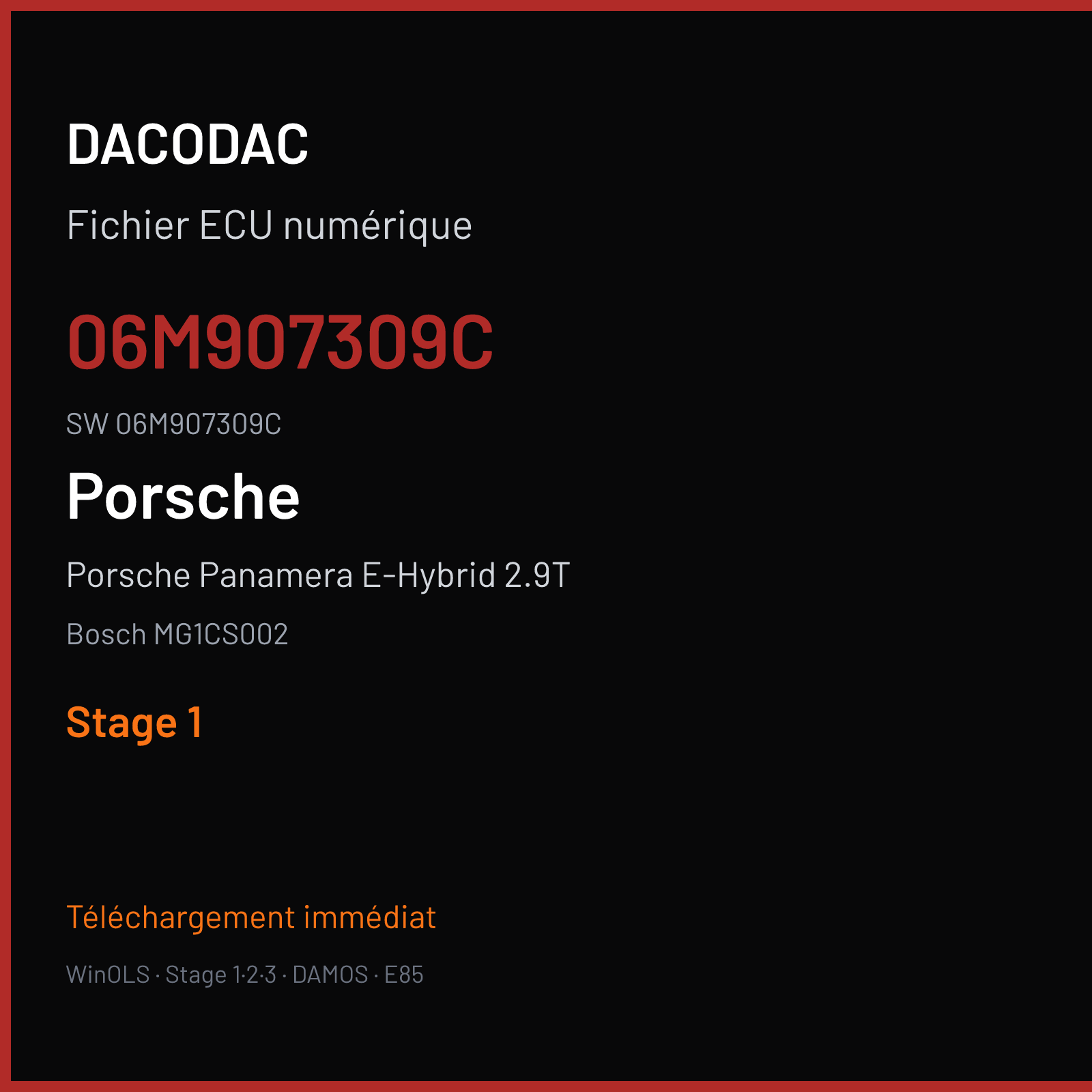 Porsche Panamera E-Hybrid 2.9T 462 ch (2019) — Bosch MG1CS002 — 06M907309C · 06M907309C · 046969 — Stage 1