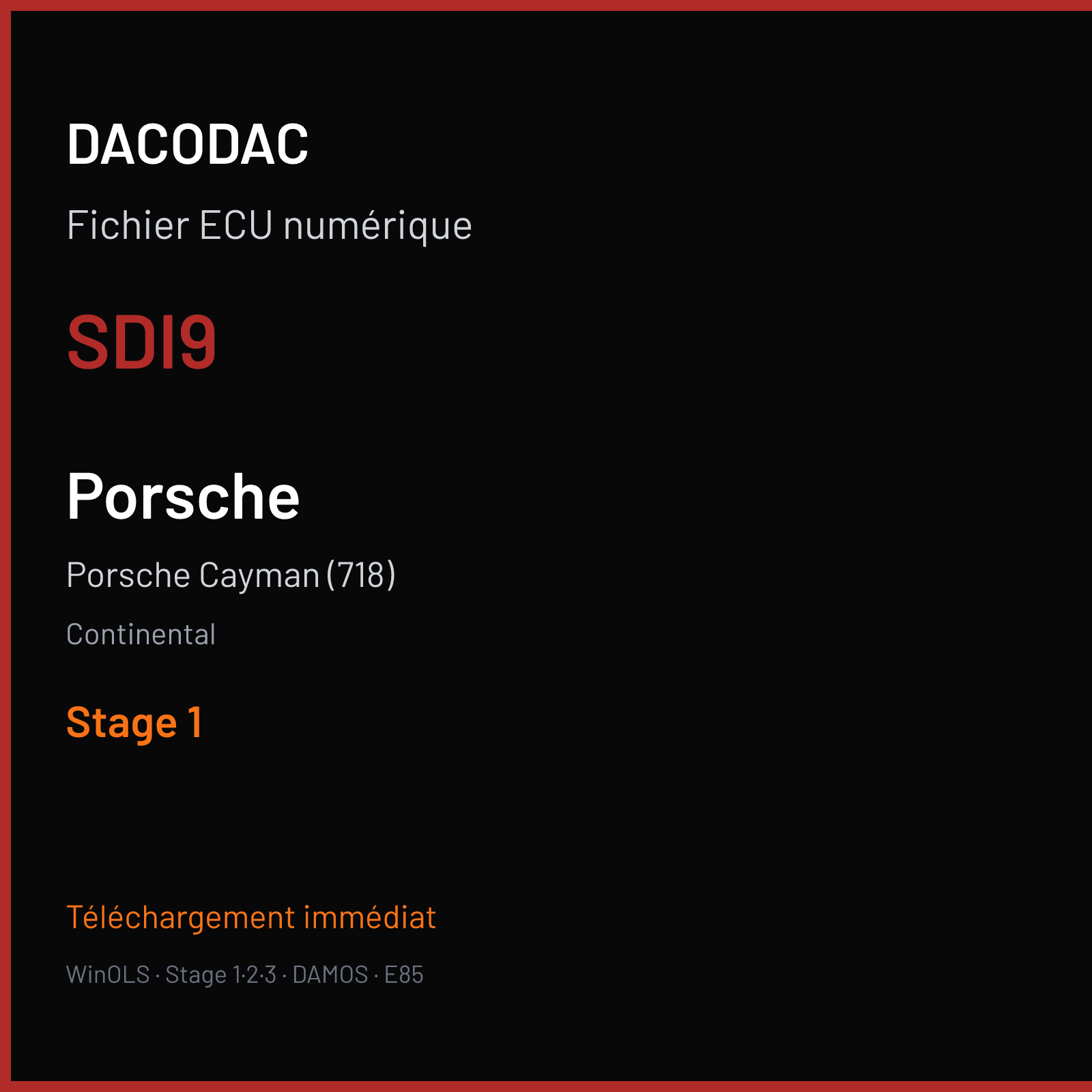 Porsche Cayman (718) (2013) — Continental — SDI9 — Stage 1