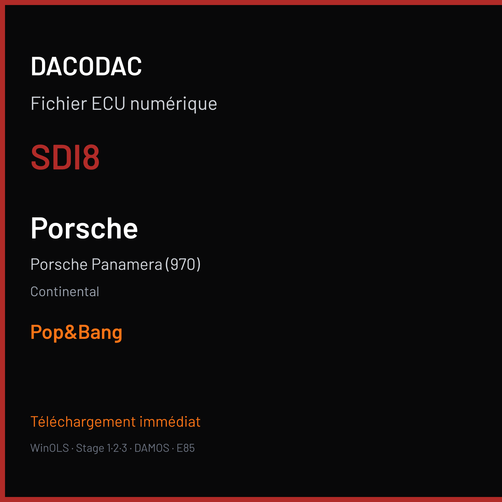 Porsche Panamera (970) (2014) — Continental — SDI8 — Pop&Bang