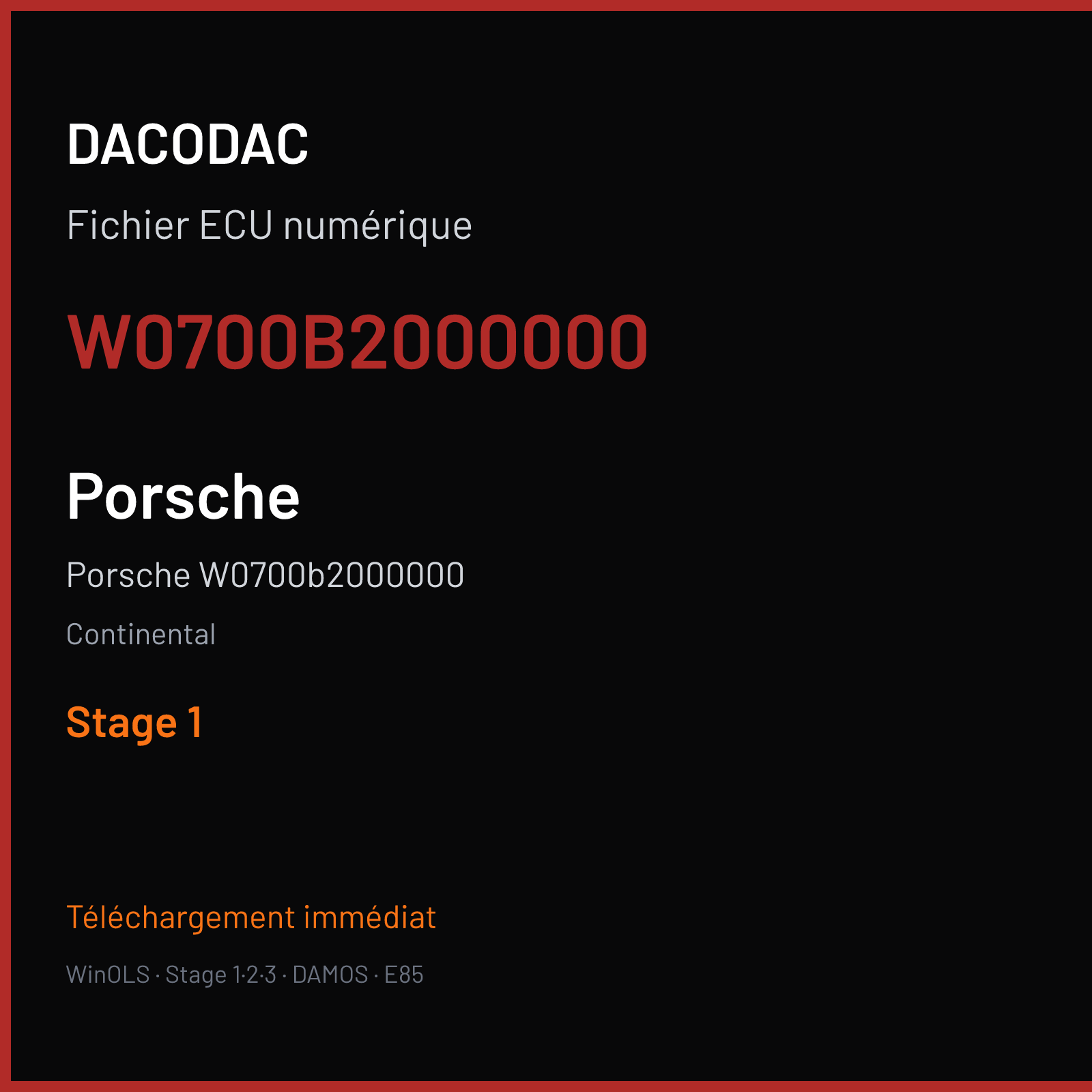 Porsche W0700b2000000 — Continental — W0700B2000000 — Stage 1