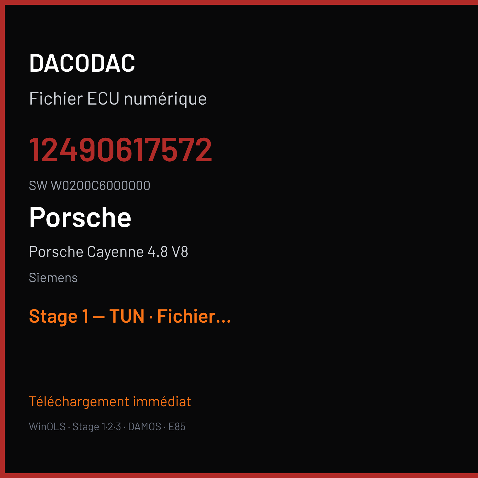 Porsche Cayenne 4.8 V8 — Siemens — 12490617572 · W0200C6000000 — Stage 1 — TUN