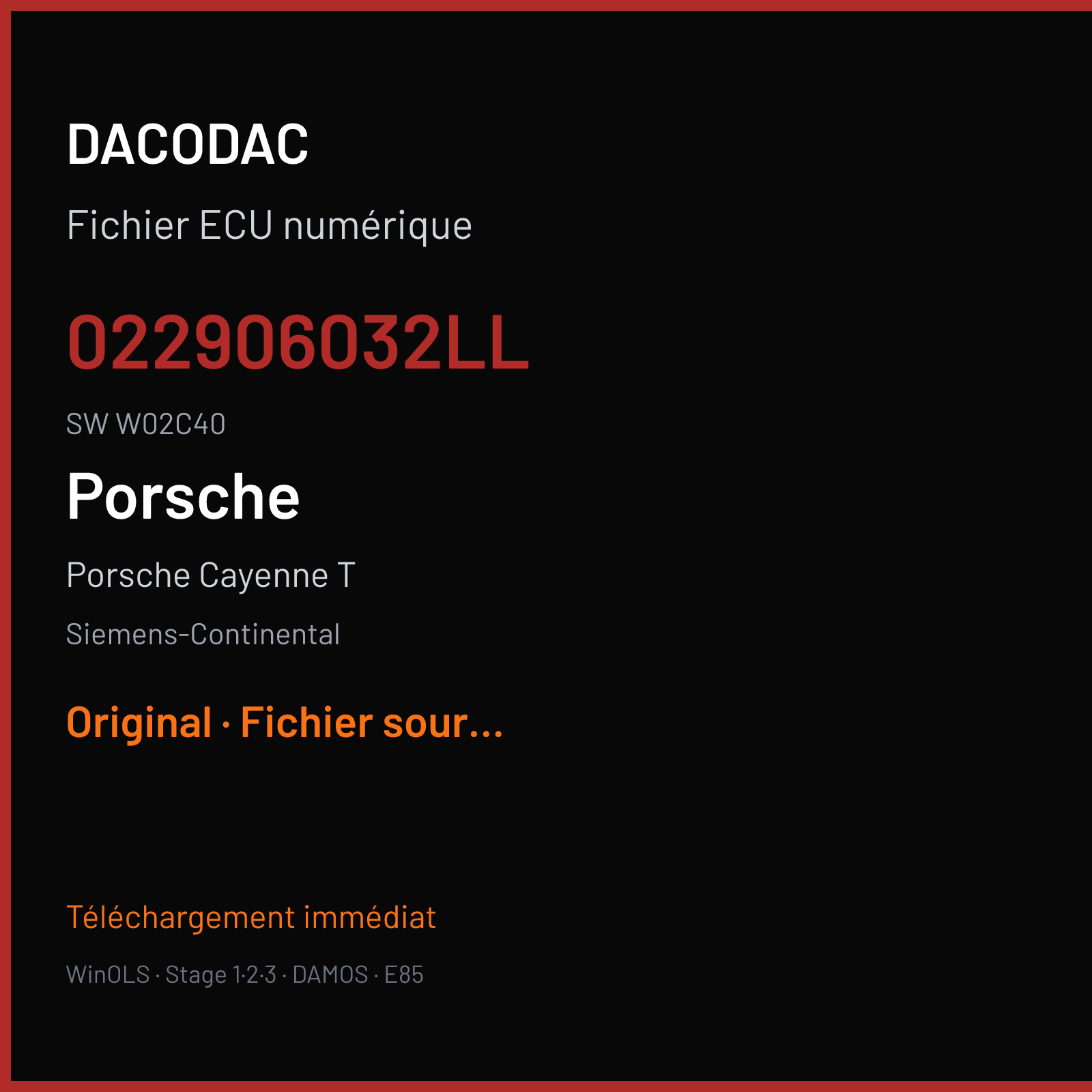 Porsche Cayenne T (2010) — Siemens-Continental — 022906032LL · W02C40 — Original