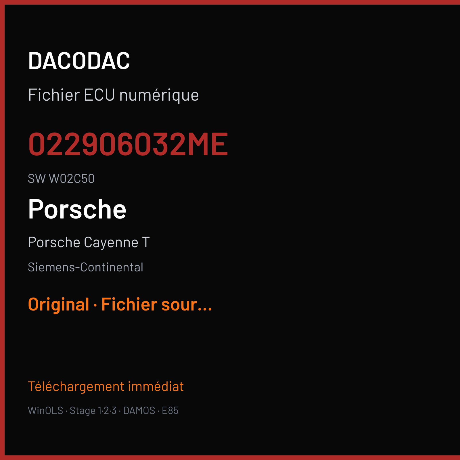 Porsche Cayenne T (2010) — Siemens-Continental — 022906032ME · W02C50 — Original