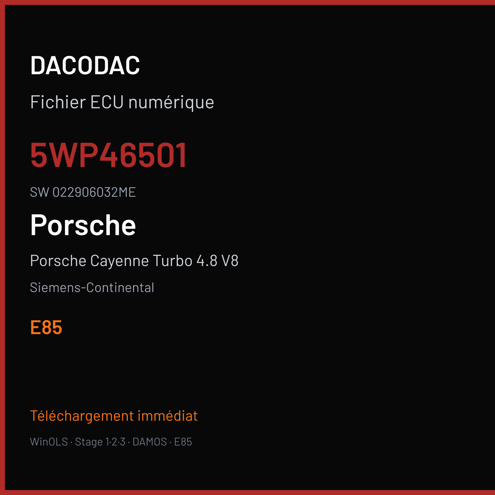 Porsche Cayenne Turbo 4.8 V8 500 ch (2008) — Siemens-Continental — 5WP46501 · 022906032ME · W0200C6000000 SDI4 — E85