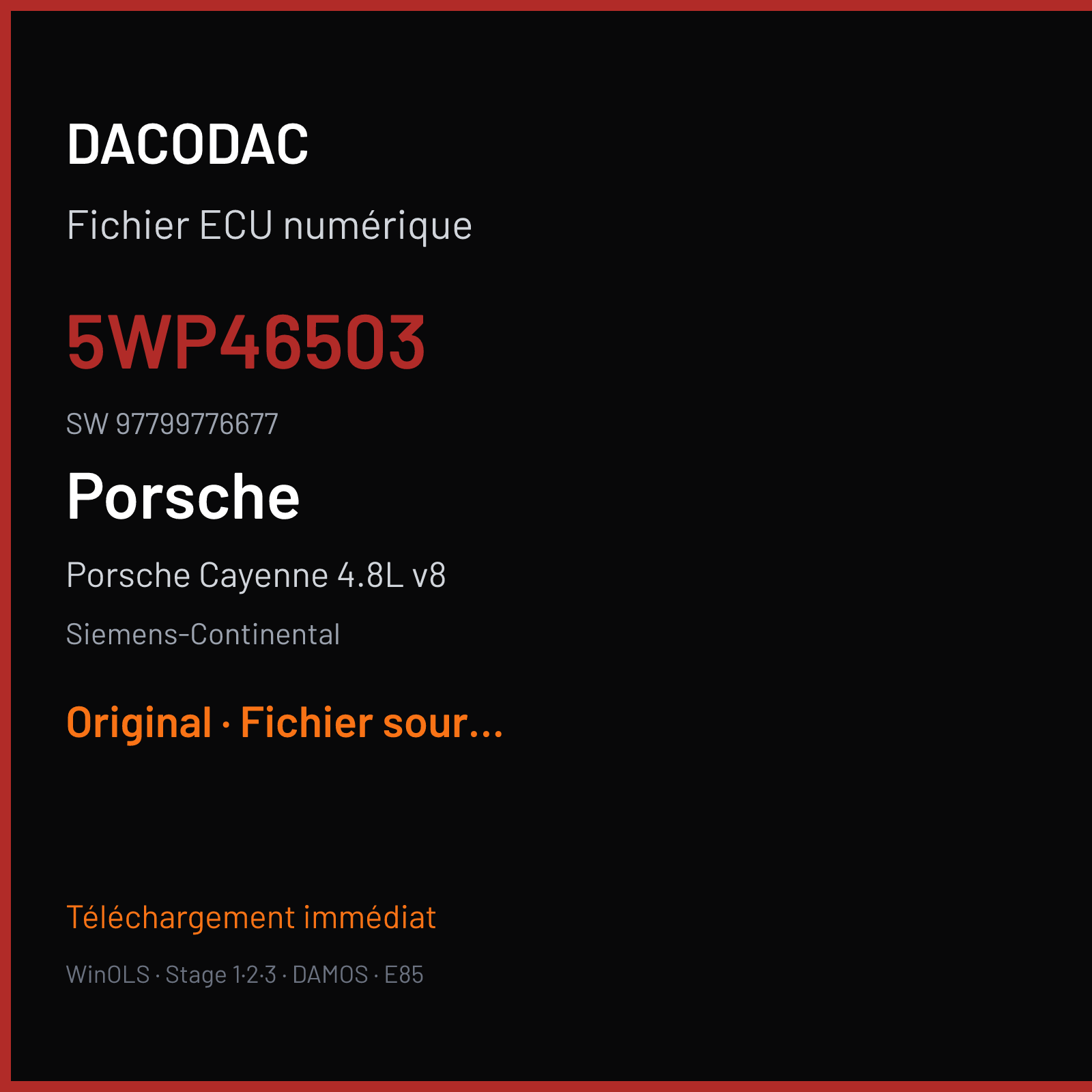 Porsche Cayenne 4.8L v8 543 ch (2007) — Siemens-Continental — 5WP46503 · 97799776677 · W0200C4000000 SDI4 — Original