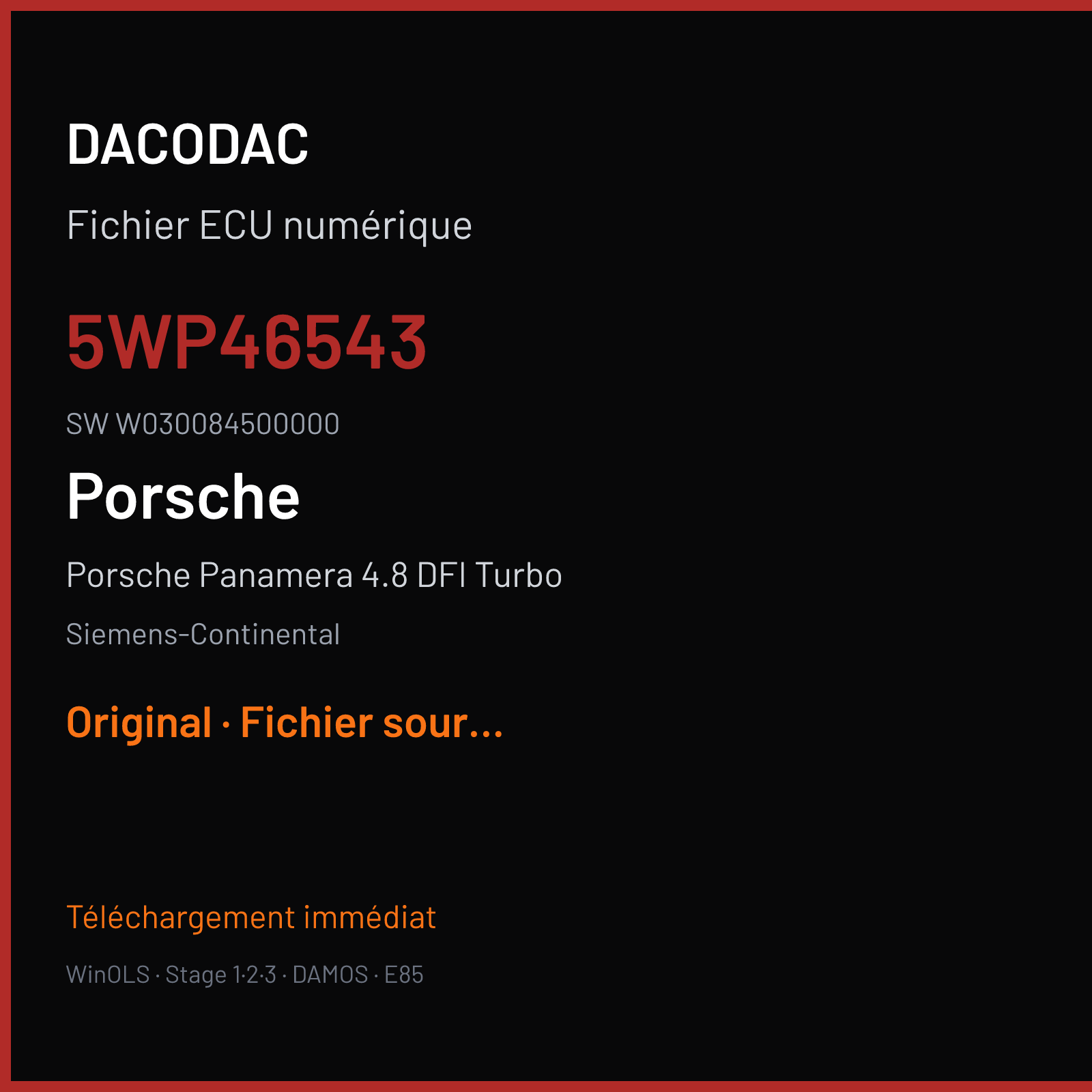 Porsche Panamera 4.8 DFI Turbo (2013) — Siemens-Continental — 5WP46543 · W030084500000 — Original