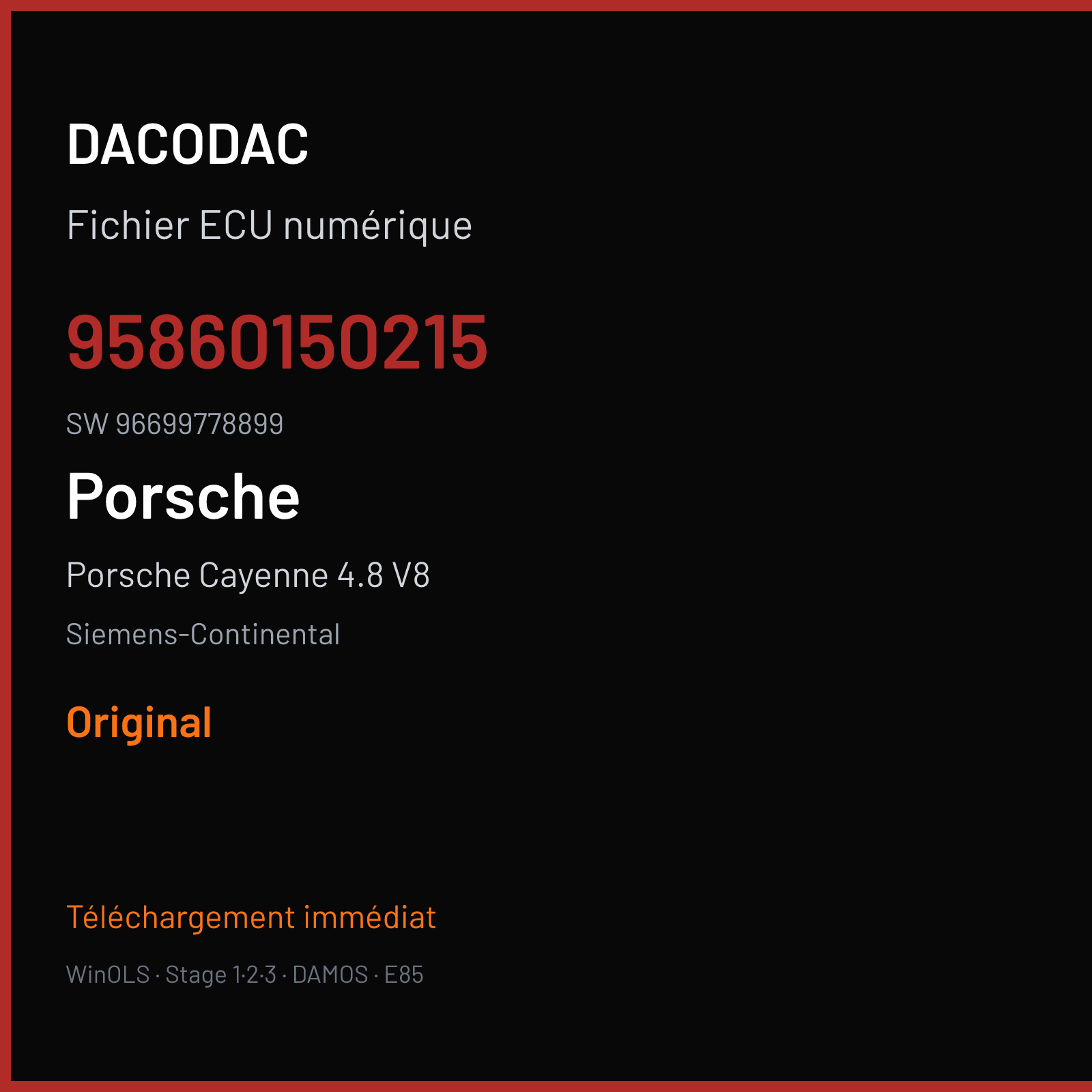 Porsche Cayenne 4.8 V8 394 ch — Siemens-Continental — 95860150215 · 96699778899 · W05008B000000 SDI8 — Original