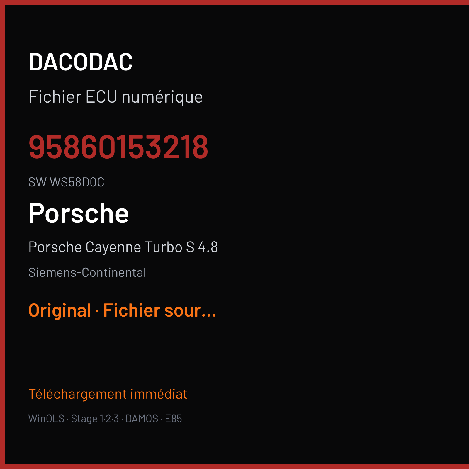 Porsche Cayenne Turbo S 4.8 (2010) — Siemens-Continental — 95860153218 · WS58D0C — Original