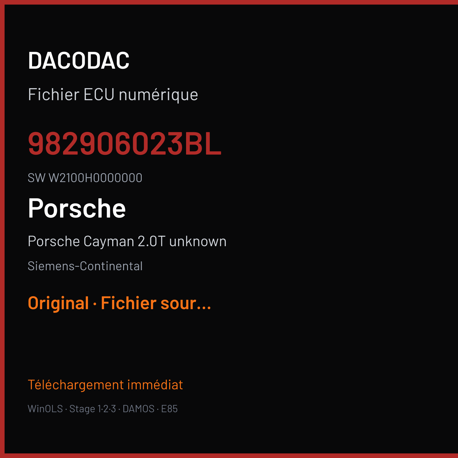 Porsche Cayman 2.0T unknown — Siemens-Continental — 982906023BL · W2100H0000000 — Original