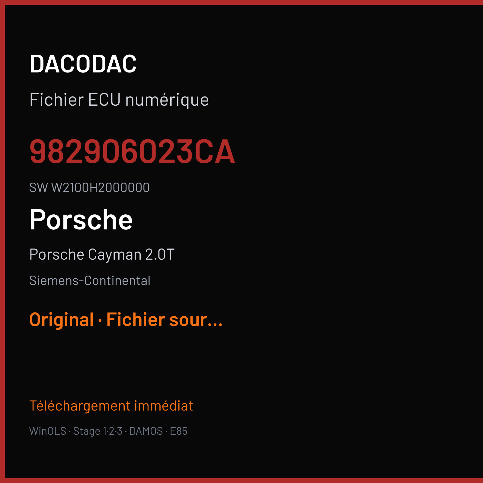 Porsche Cayman 2.0T (2017) — Siemens-Continental — 982906023CA · W2100H2000000 — Original