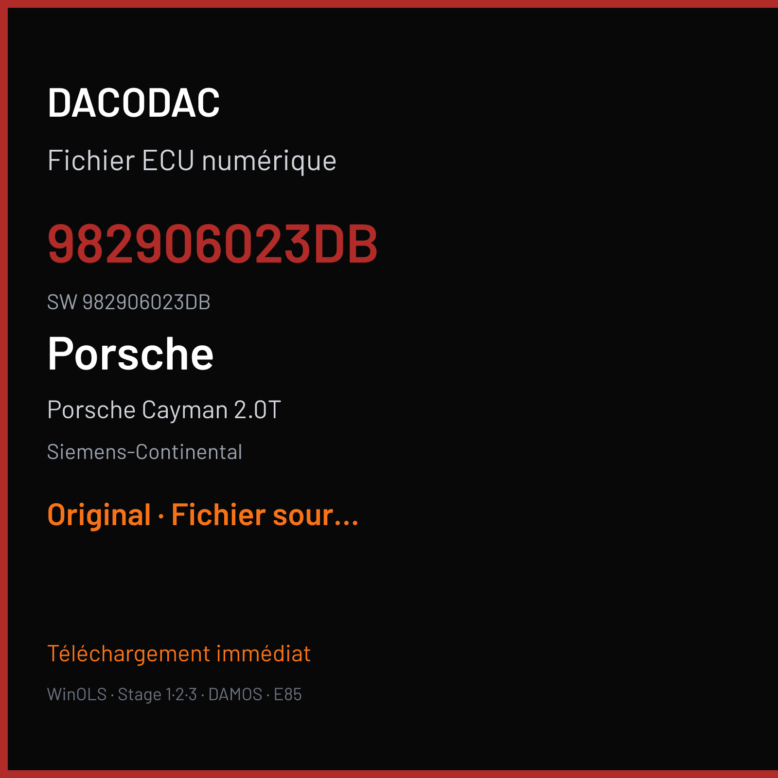 Porsche Cayman 2.0T 300 ch (2019) — Siemens-Continental — 982906023DB · 982906023DB · W2100H2000000 SDI21 — Original