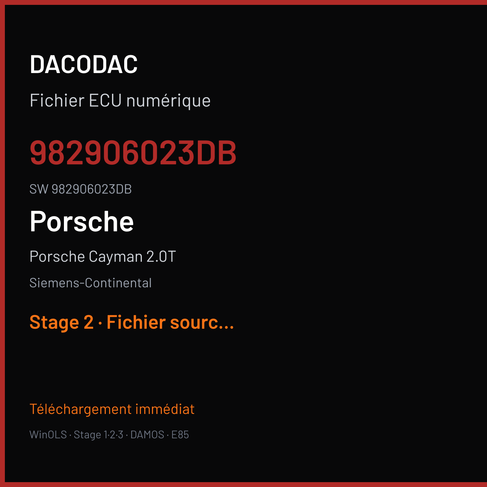 Porsche Cayman 2.0T 300 ch (2019) — Siemens-Continental — 982906023DB · 982906023DB · W2100H2000000 SDI21 — Stage 2