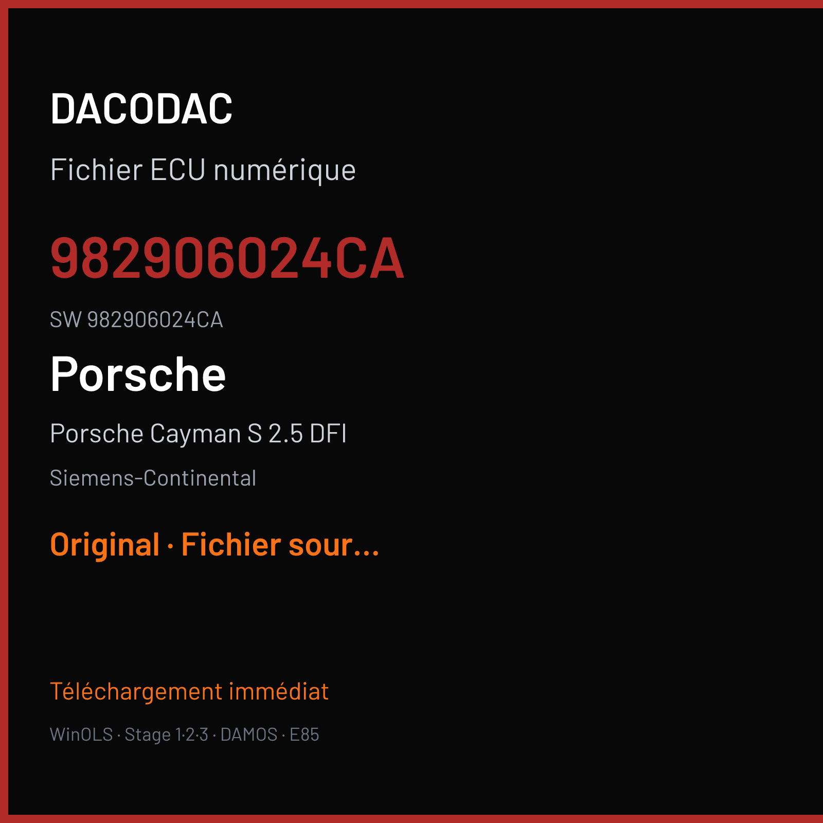 Porsche Cayman S 2.5 DFI 350 ch (2018) — Siemens-Continental — 982906024CA · 982906024CA · W2100H2000000 SDI21.1 — Original