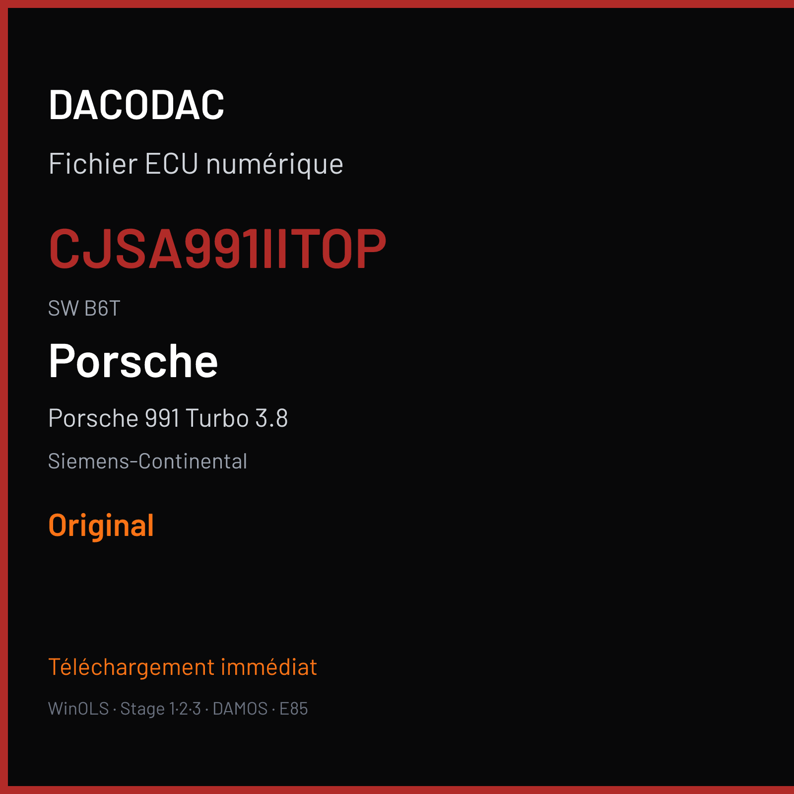 Porsche 991 Turbo 3.8 540 ch (2017) — Siemens-Continental — CJSA991IITOP · B6T · 38L EU5 xxxx 9P1906025AT W23H00 38T5N08 W2300H0000000 SDI21 — Original