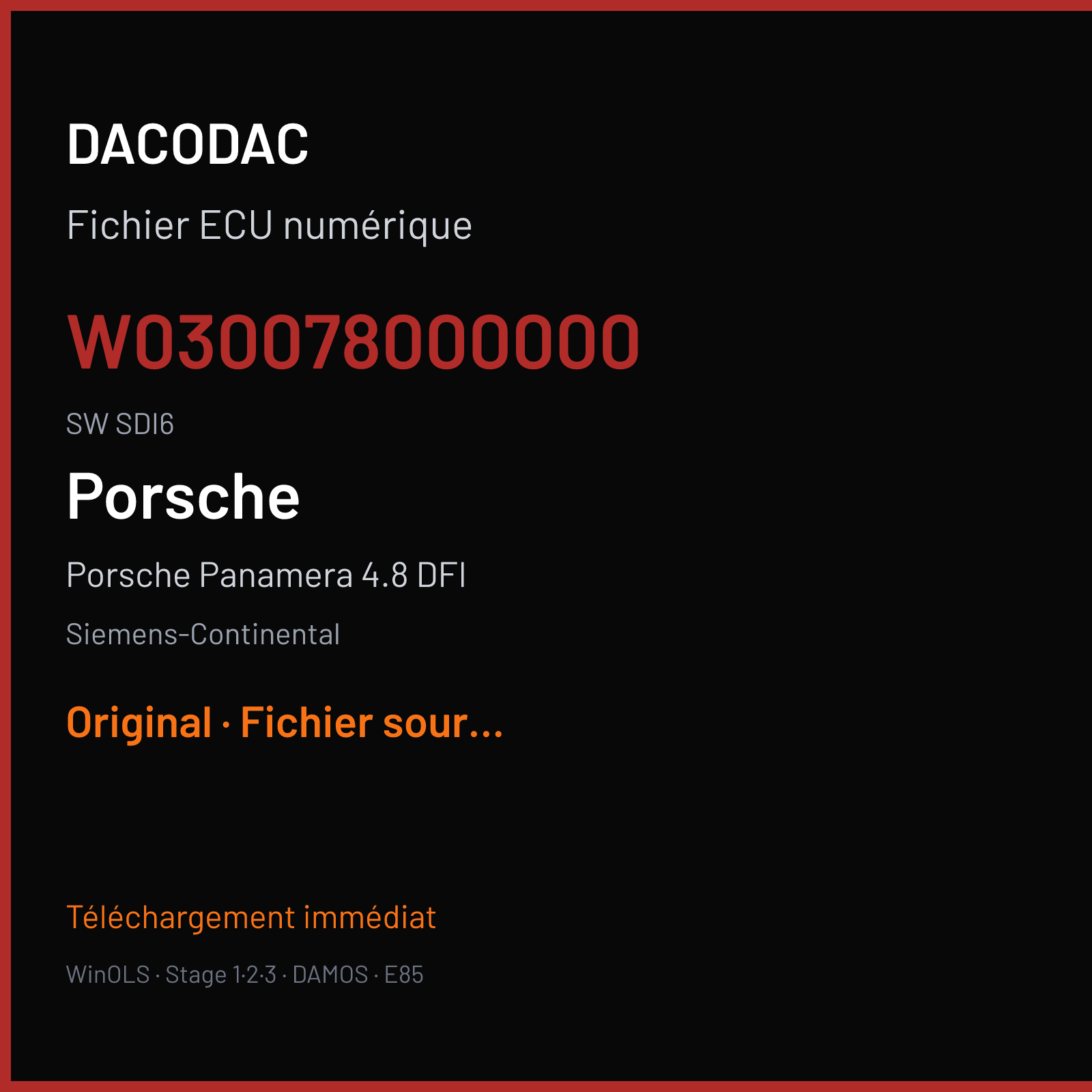 Porsche Panamera 4.8 DFI (2010) — Siemens-Continental — W030078000000 · SDI6 — Original
