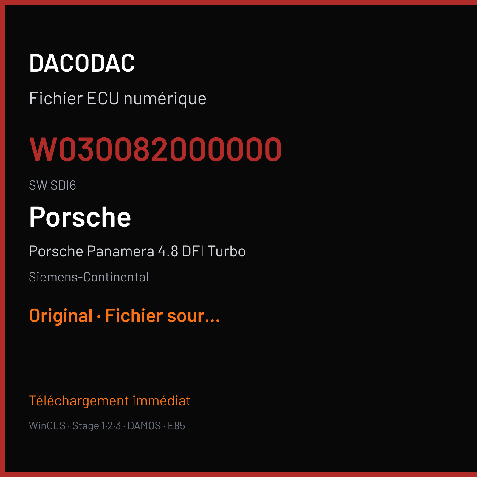 Porsche Panamera 4.8 DFI Turbo (2010) — Siemens-Continental — W030082000000 · SDI6 — Original