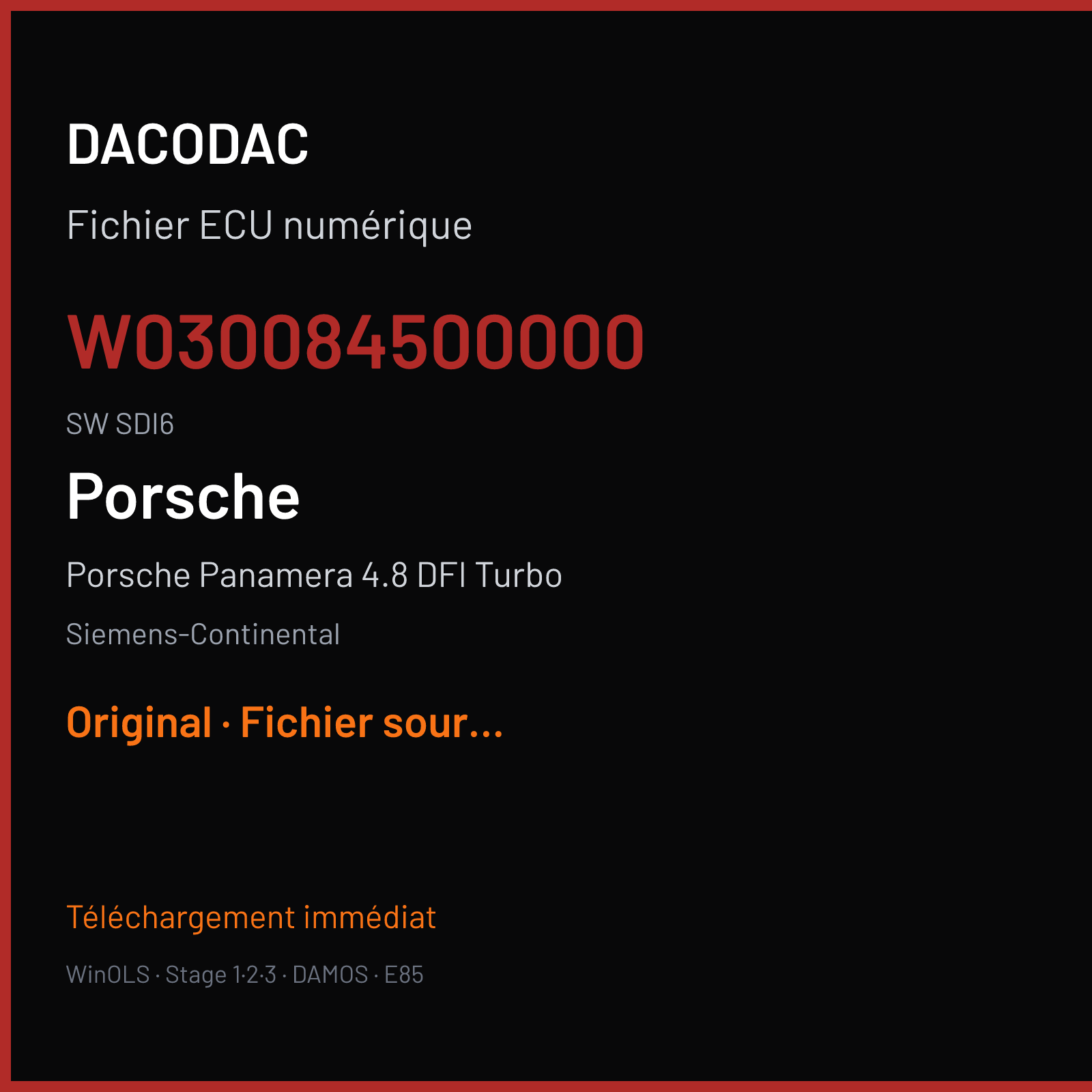 Porsche Panamera 4.8 DFI Turbo (2009) — Siemens-Continental — W030084500000 · SDI6 — Original