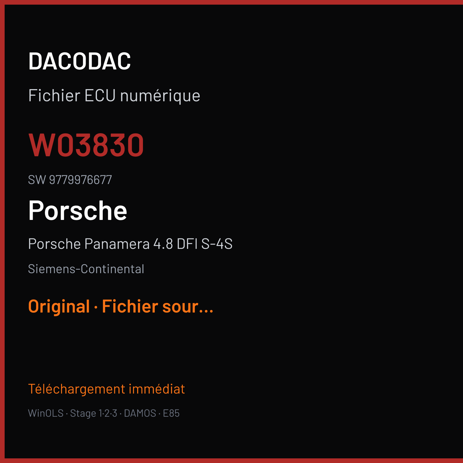 Porsche Panamera 4.8 DFI S-4S (2010) — Siemens-Continental — W03830 · 9779976677 — Original
