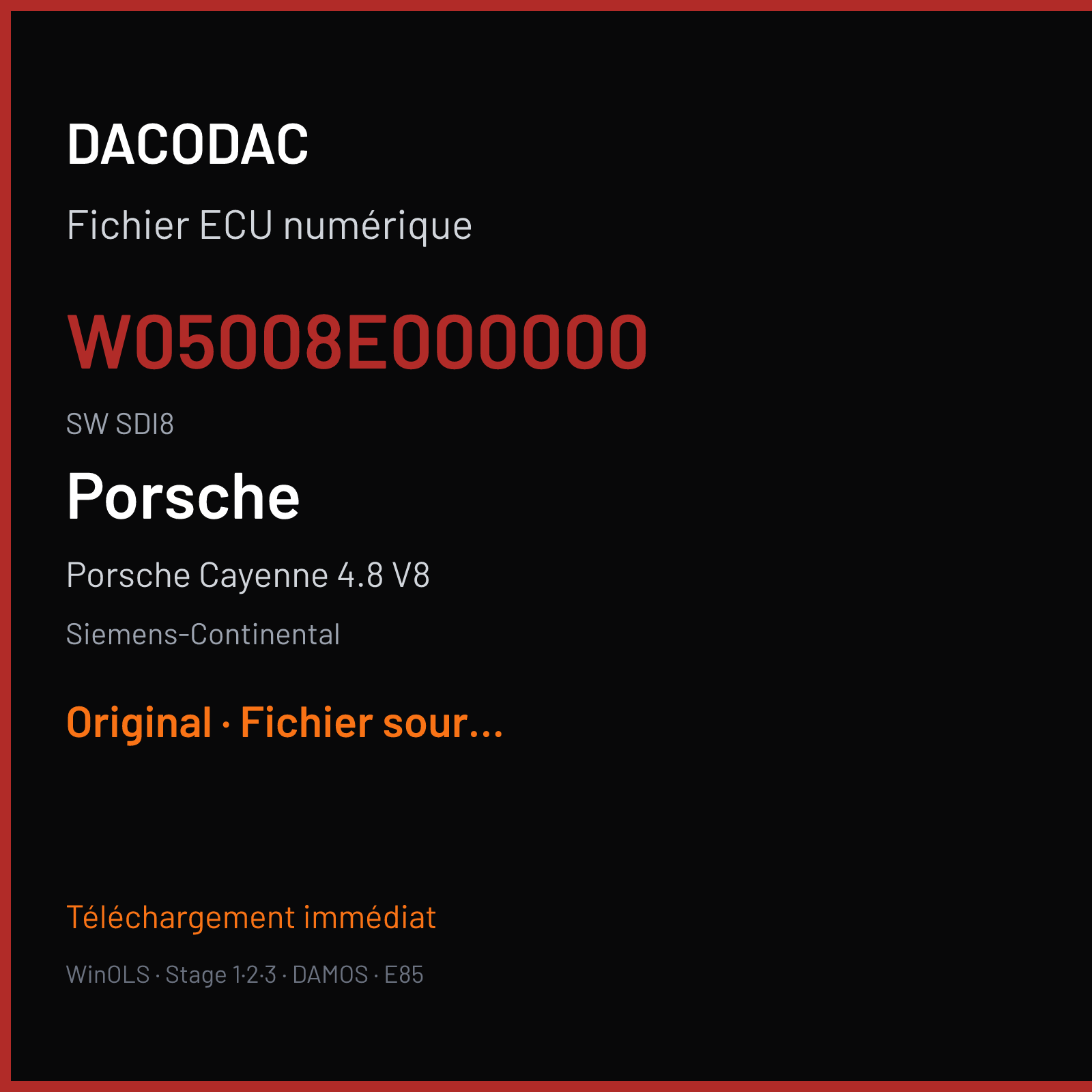 Porsche Cayenne 4.8 V8 (2010) — Siemens-Continental — W05008E000000 · SDI8 — Original
