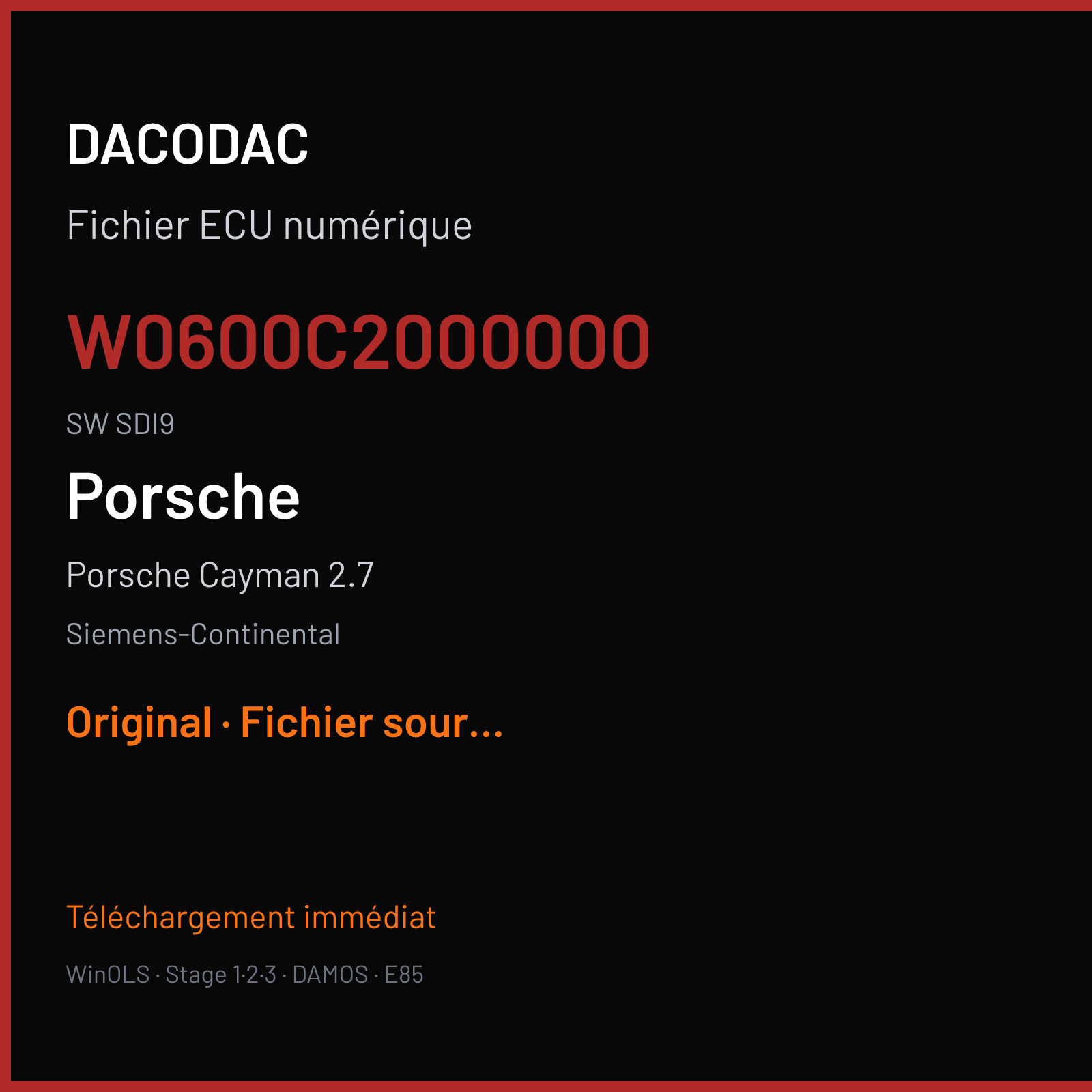 Porsche Cayman 2.7 (2014) — Siemens-Continental — W0600C2000000 · SDI9 — Original