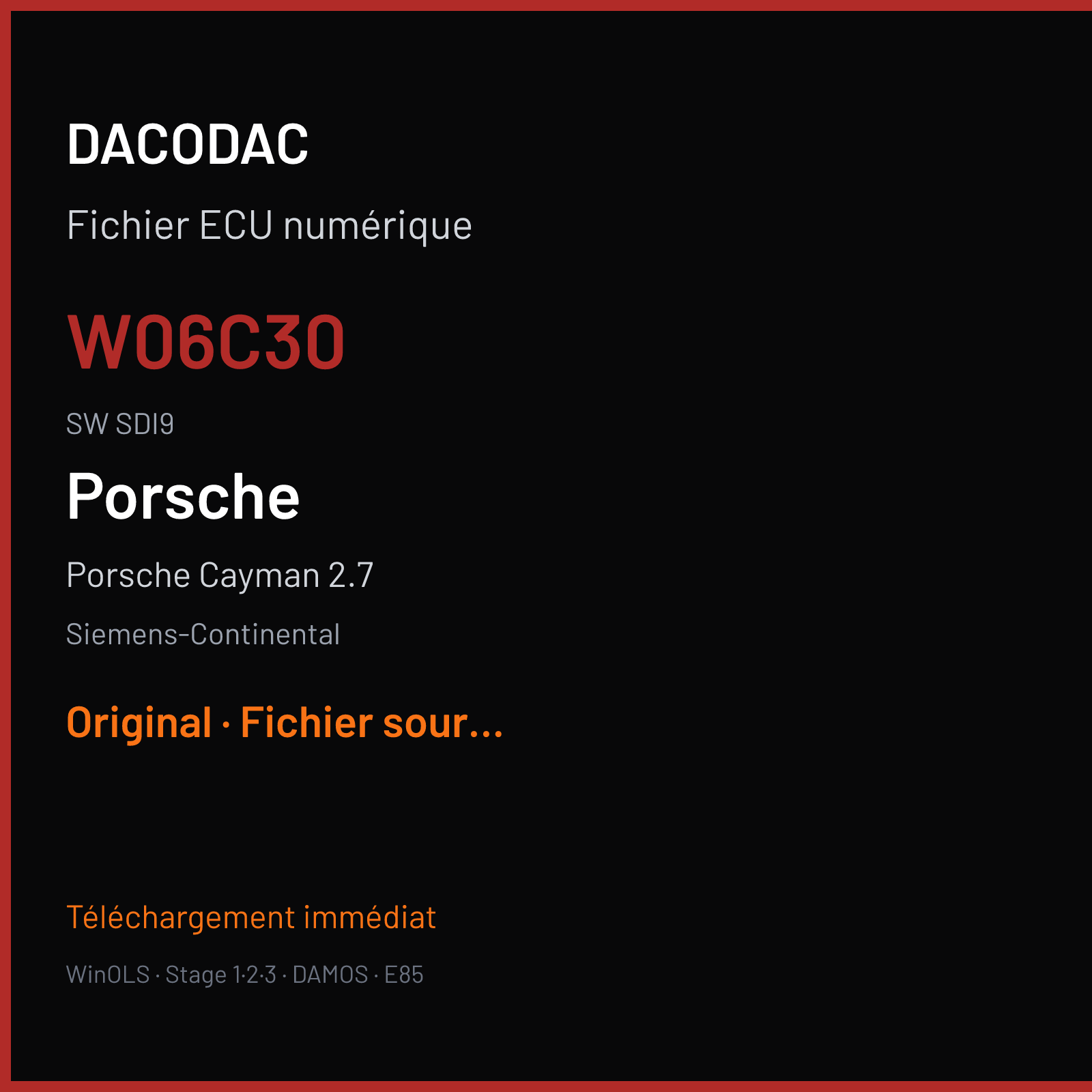 Porsche Cayman 2.7 (2014) — Siemens-Continental — W06C30 · SDI9 — Original