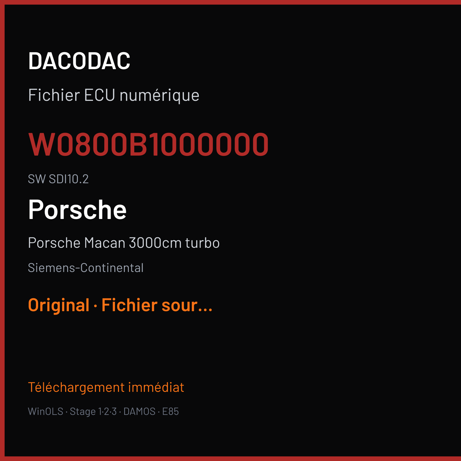Porsche Macan 3000cm turbo (2015) — Siemens-Continental — W0800B1000000 · SDI10.2 — Original