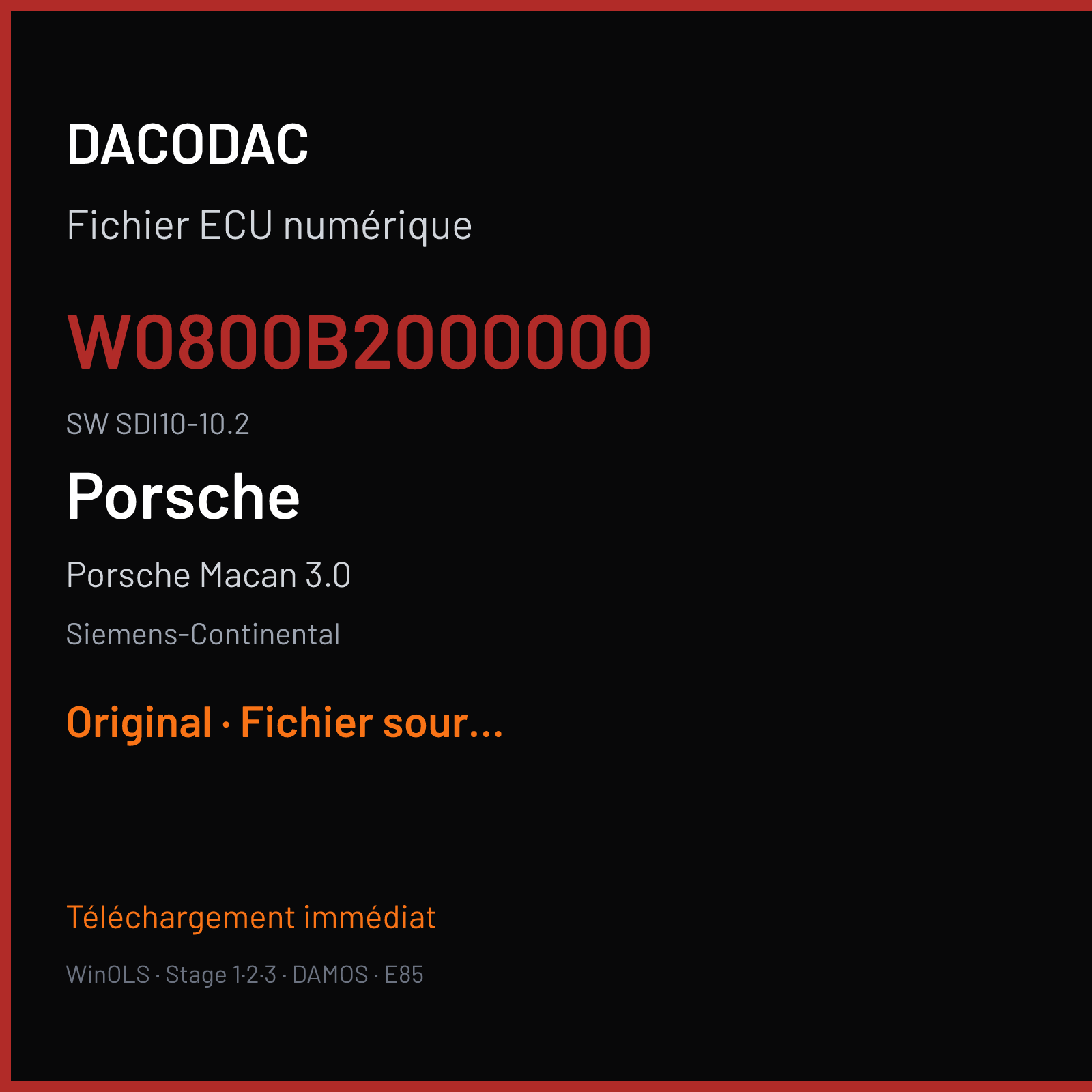 Porsche Macan 3.0 (2017) — Siemens-Continental — W0800B2000000 · SDI10-10.2 — Original