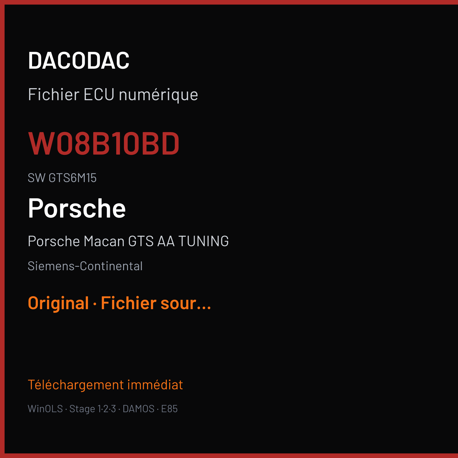 Porsche Macan GTS AA TUNING 360 ch (2016) — Siemens-Continental — W08B10BD · GTS6M15 · 95B90654103 W0800B1000000 SDI10 — Original