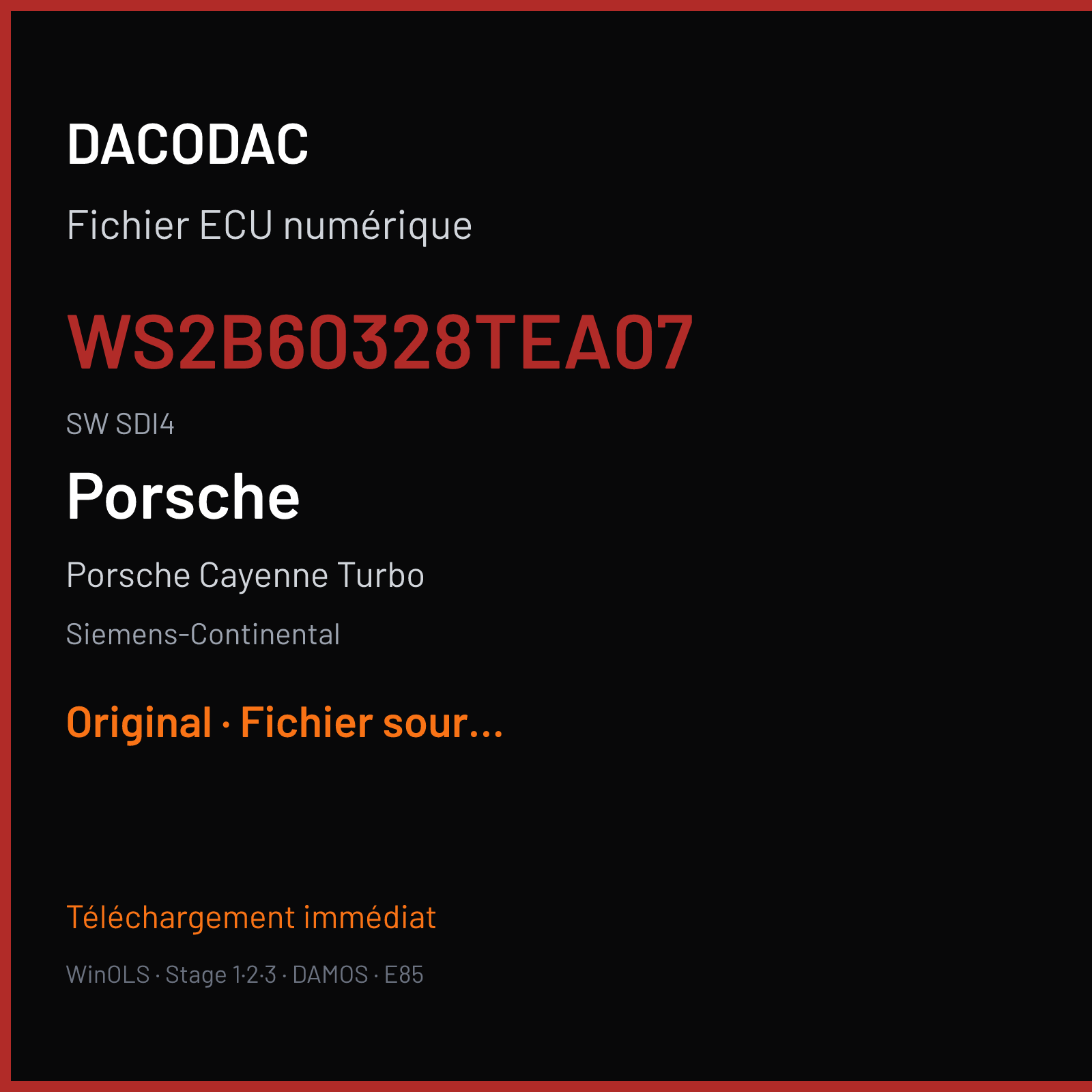 Porsche Cayenne Turbo (2010) — Siemens-Continental — WS2B60328TEA07 · SDI4 — Original