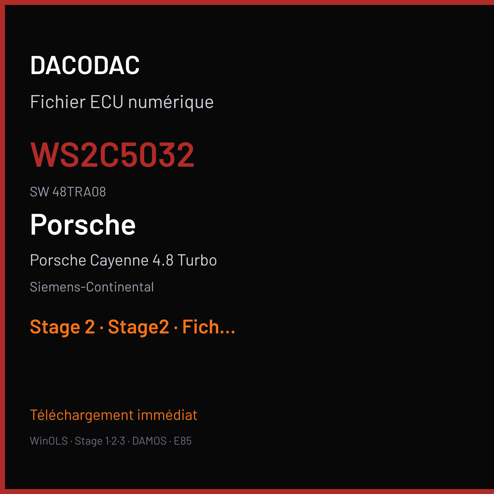 Porsche Cayenne 4.8 Turbo (2010) — Siemens-Continental — WS2C5032 · 48TRA08 — Stage 2