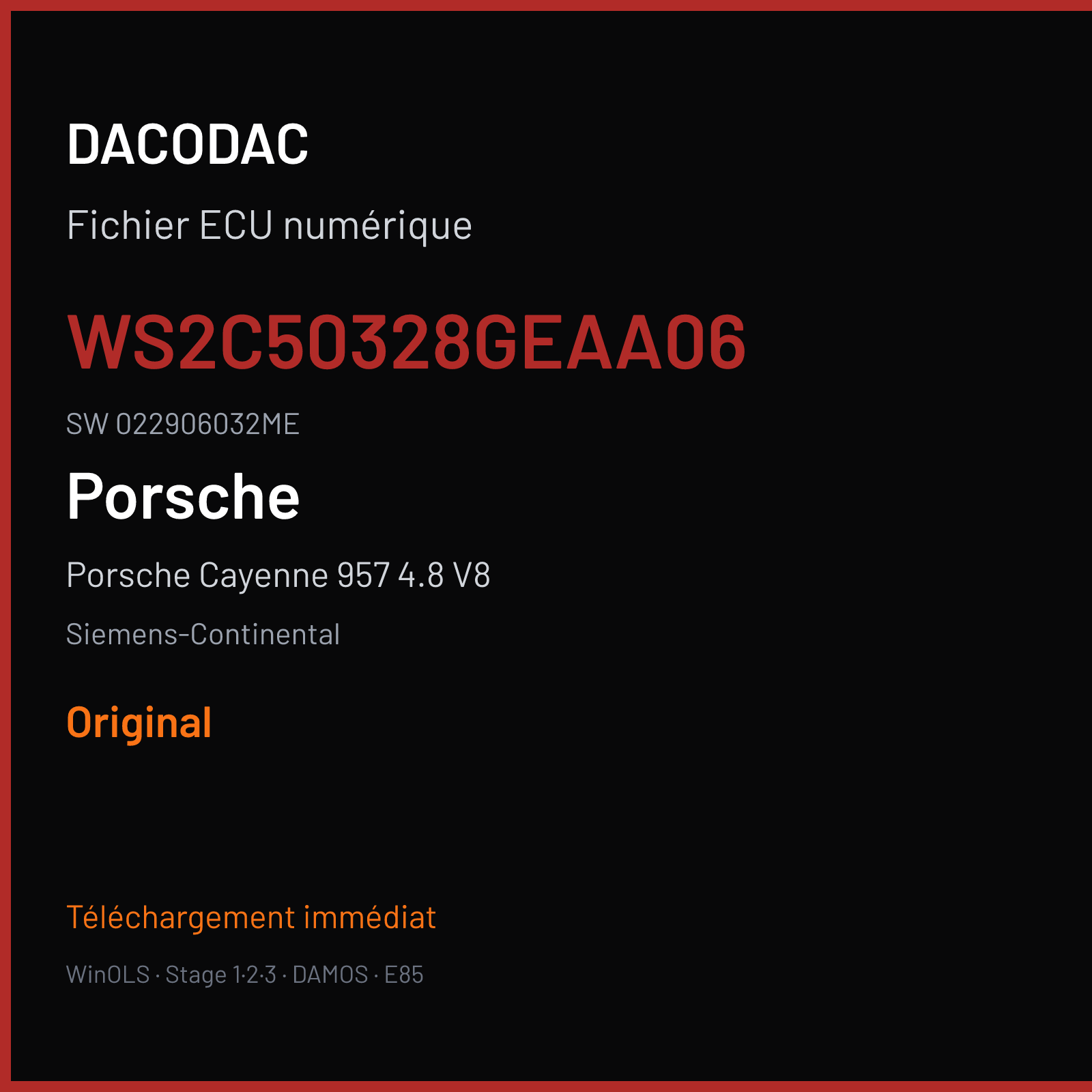 Porsche Cayenne 957 4.8 V8 405 ch (2009) — Siemens-Continental — WS2C50328GEAA06 · 022906032ME · W0200C5000000 SDI4 — Original